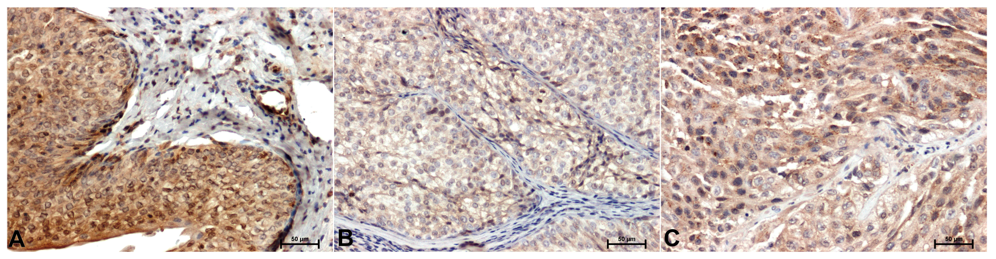 Preprints 153835 g002