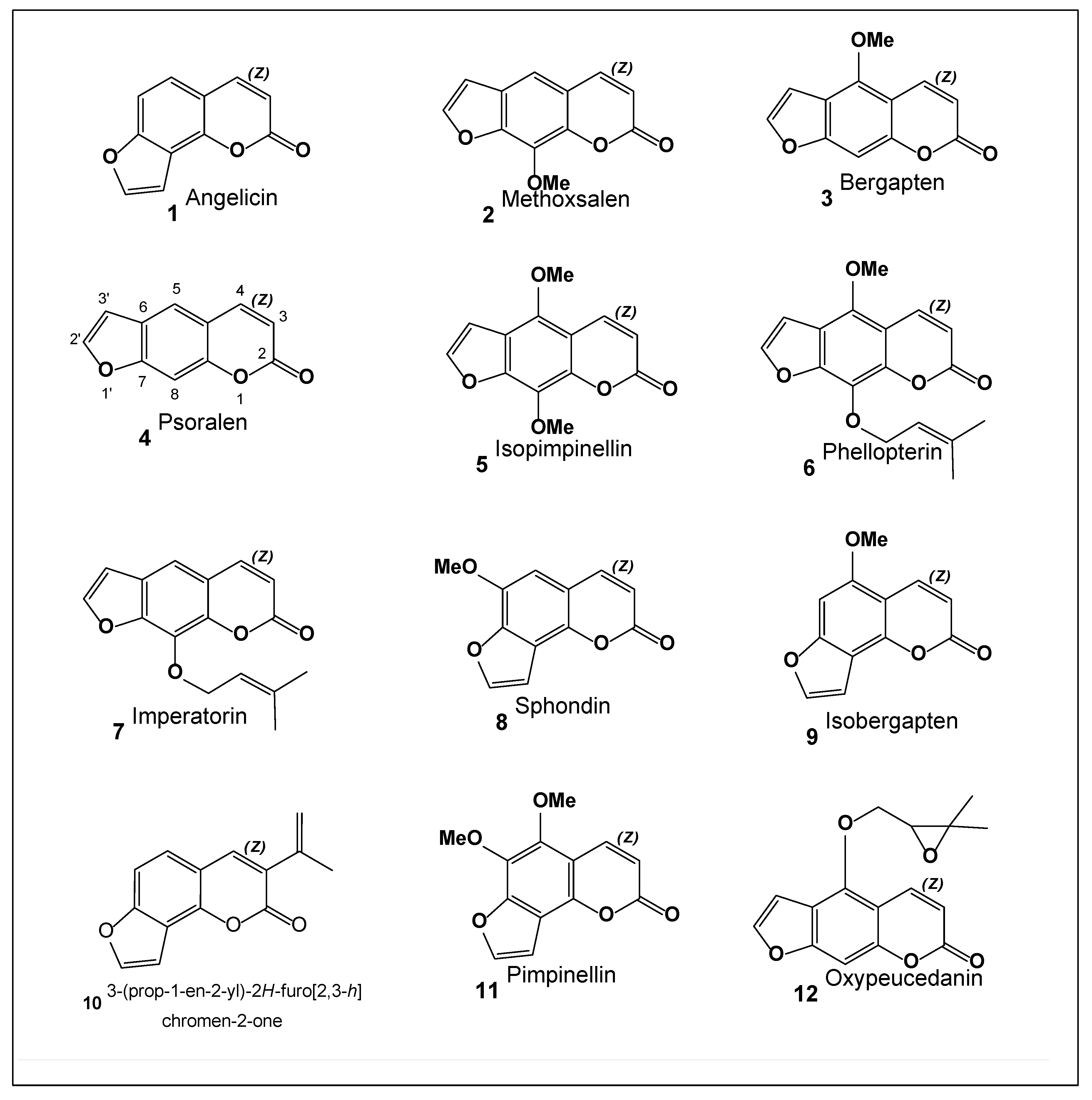 Preprints 190214 g002