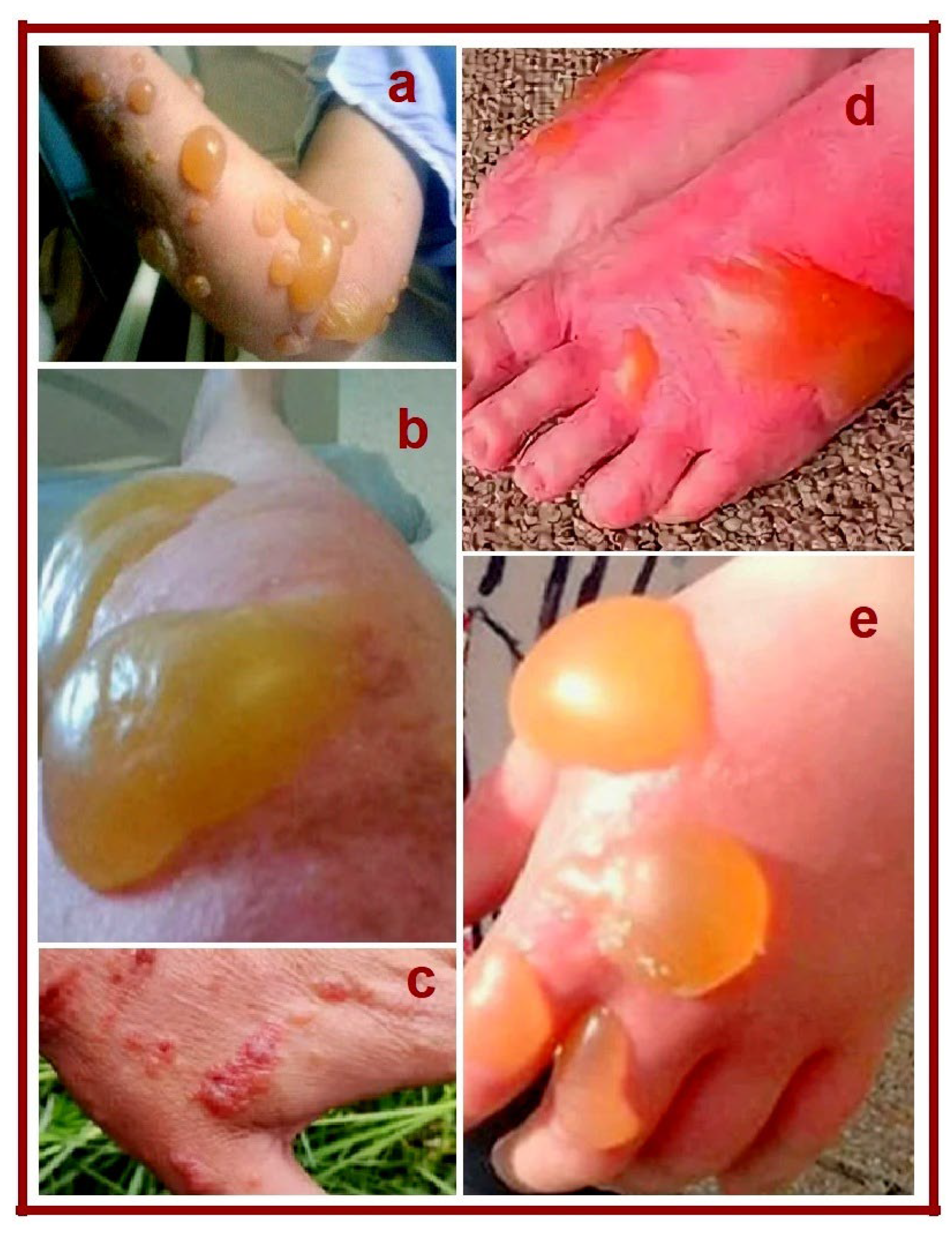 Preprints 190214 g003