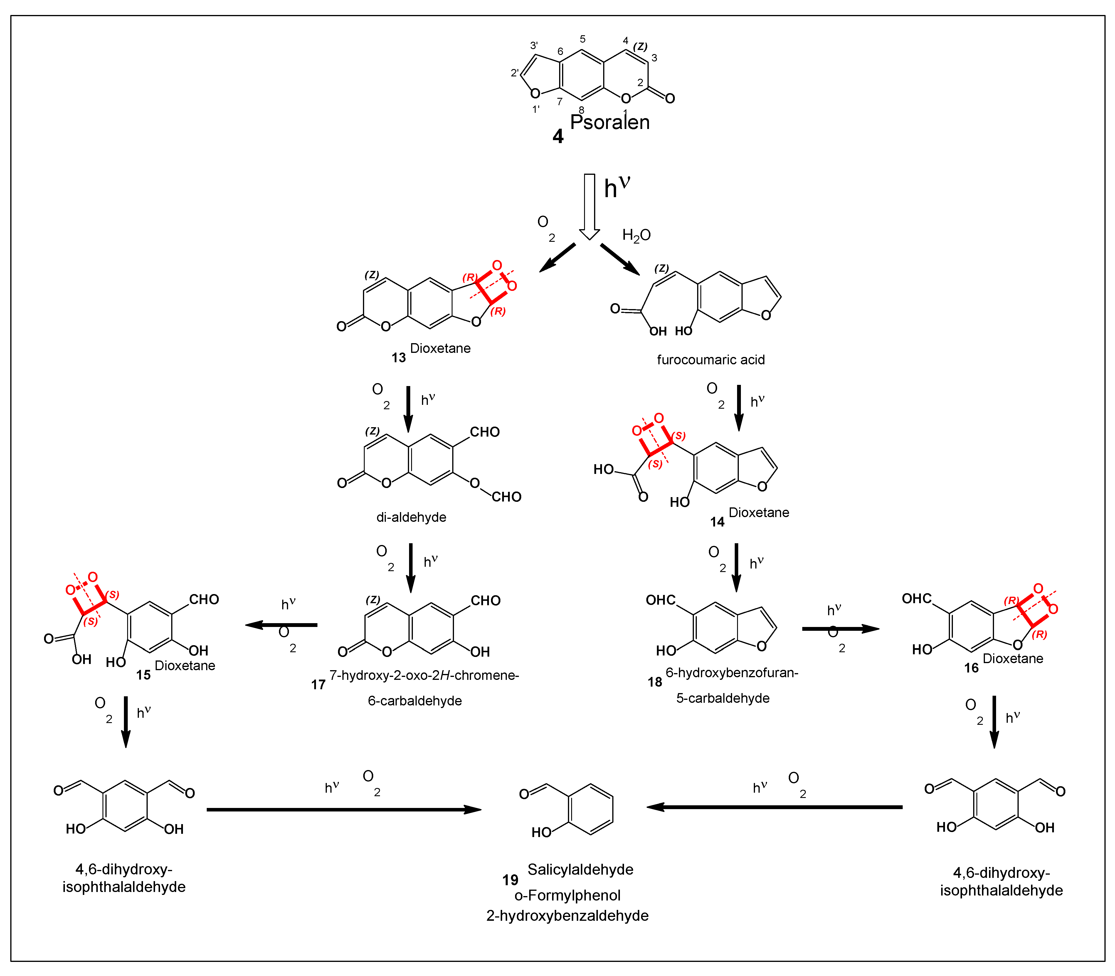 Preprints 190214 g004