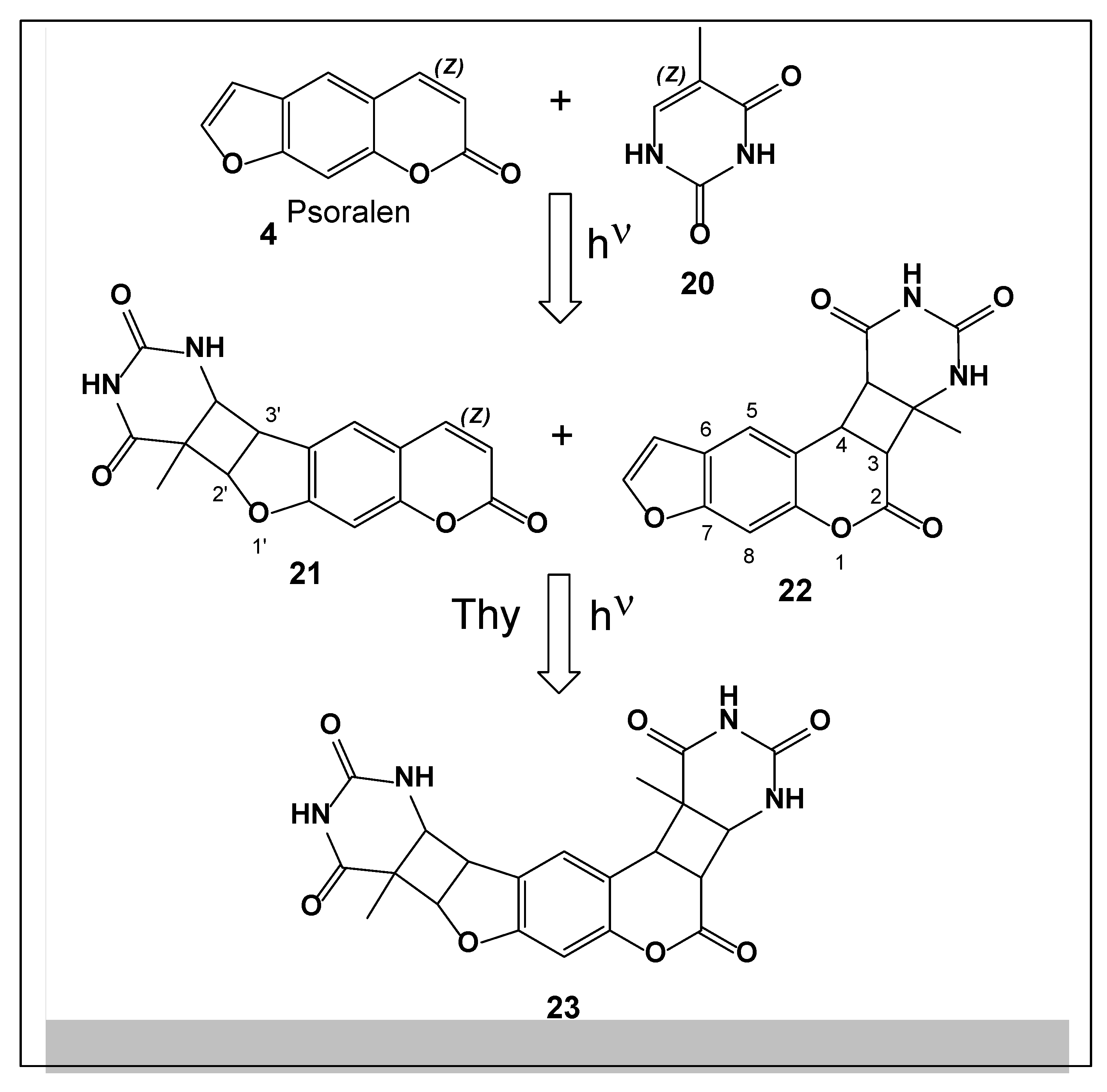 Preprints 190214 g005