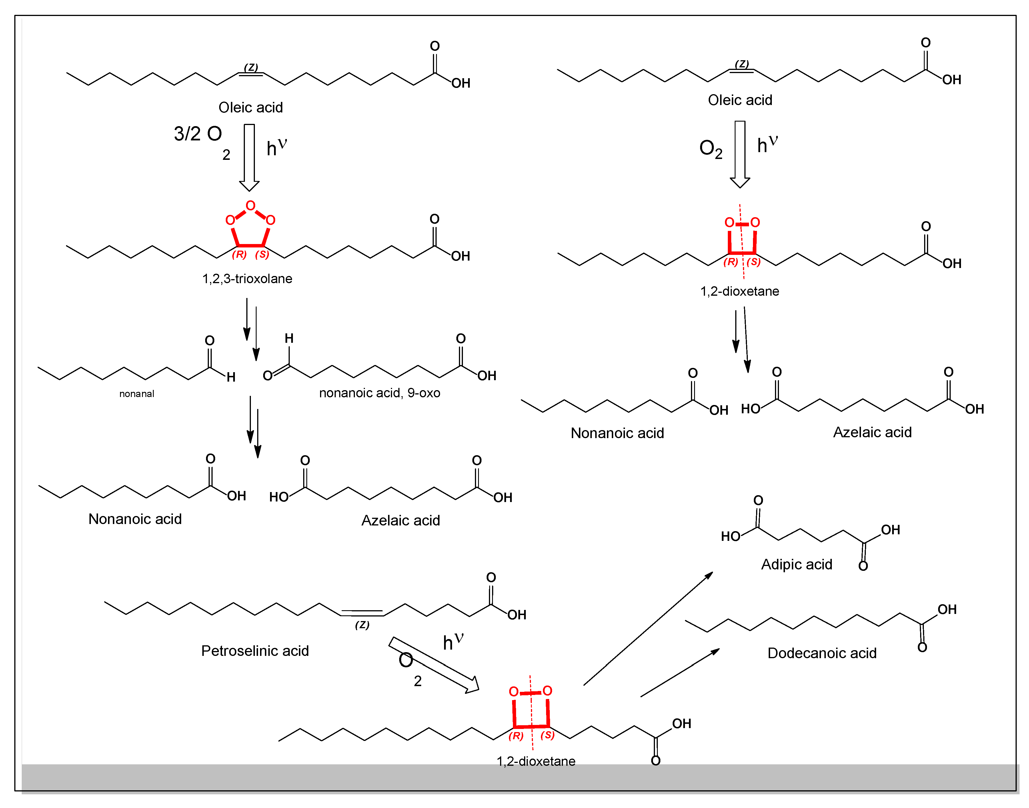 Preprints 190214 g009