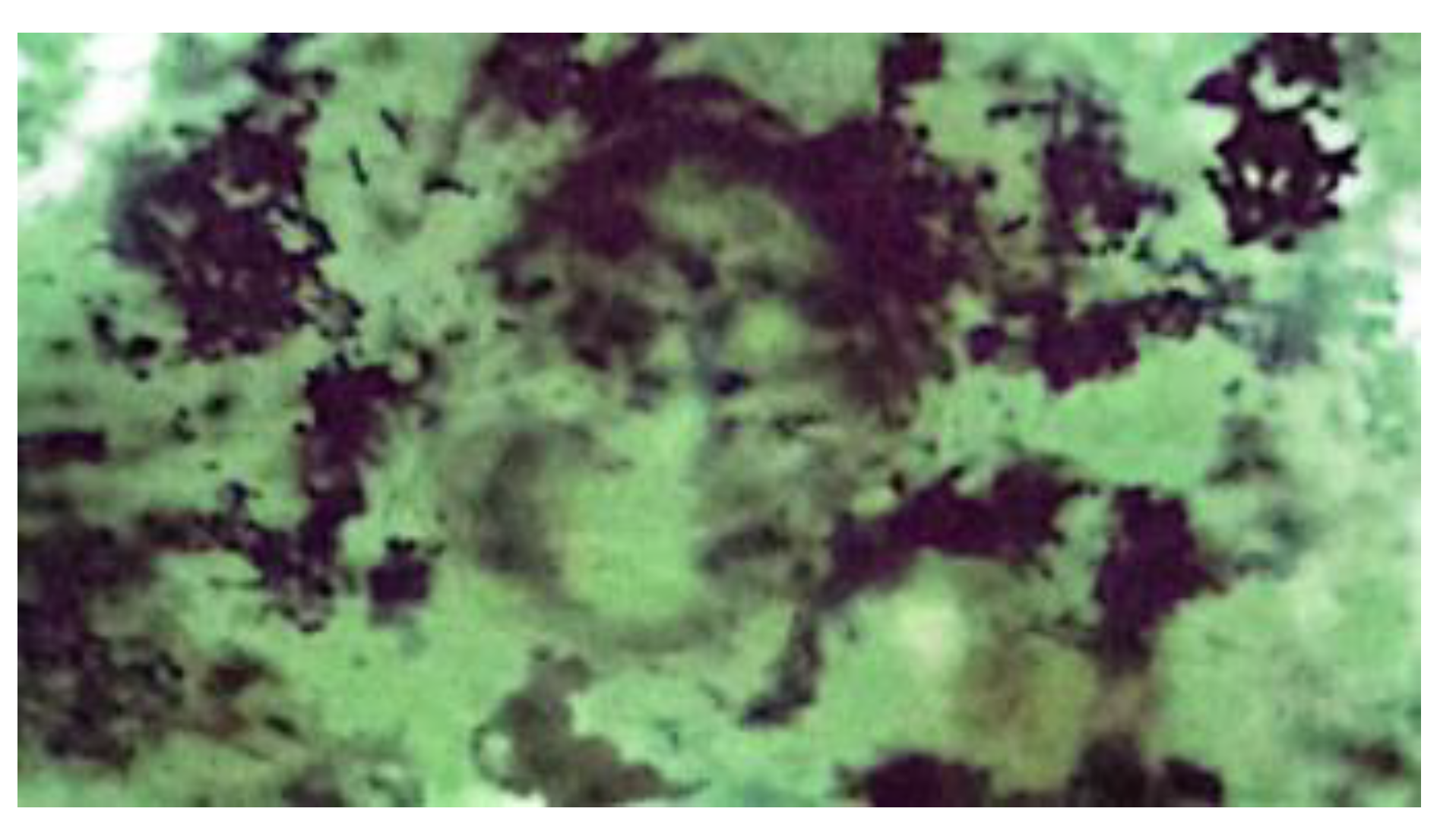Preprints 166722 g004