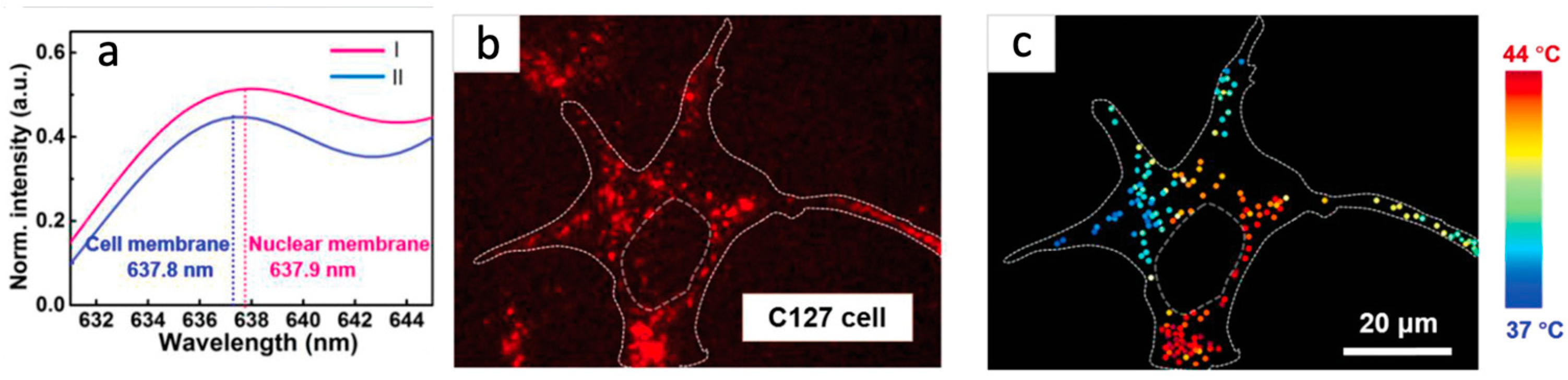 Preprints 100661 g002