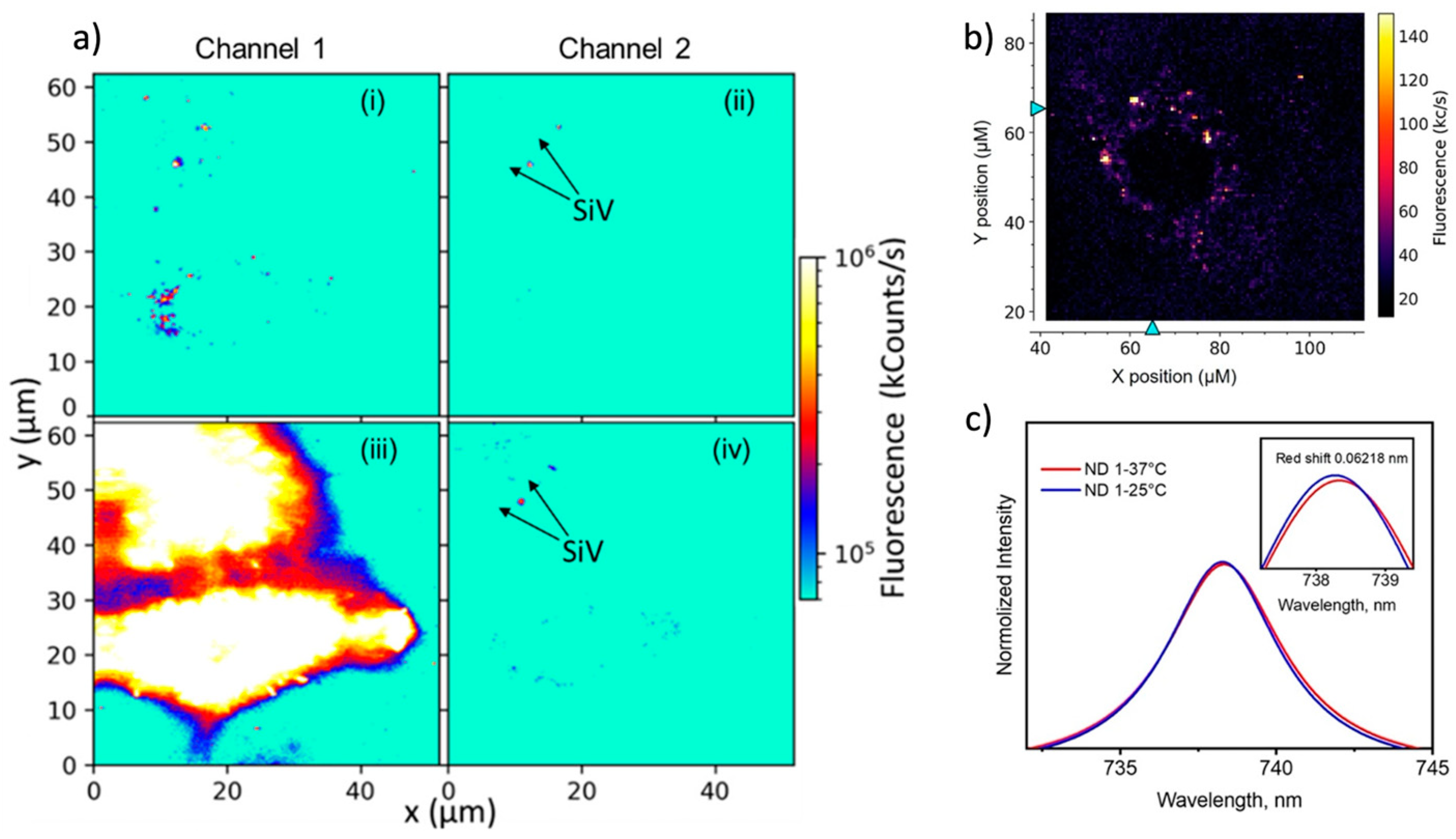 Preprints 100661 g005