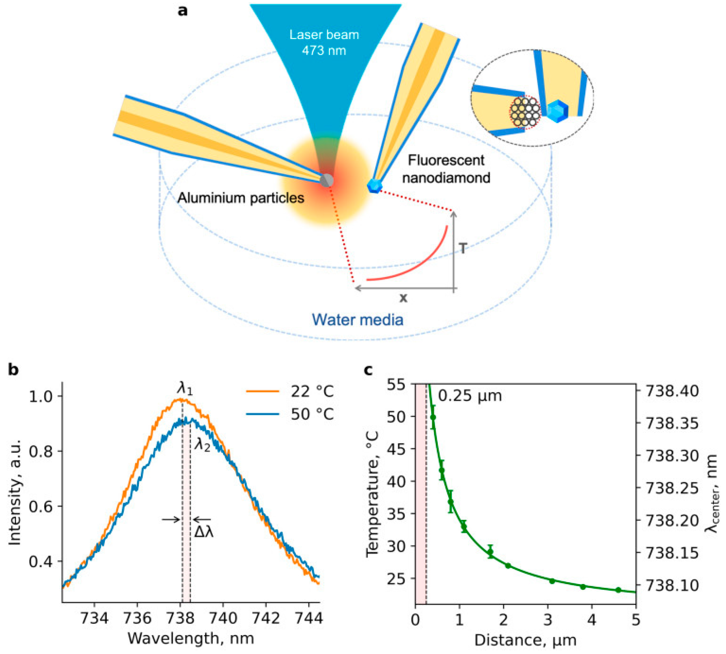 Preprints 100661 g006