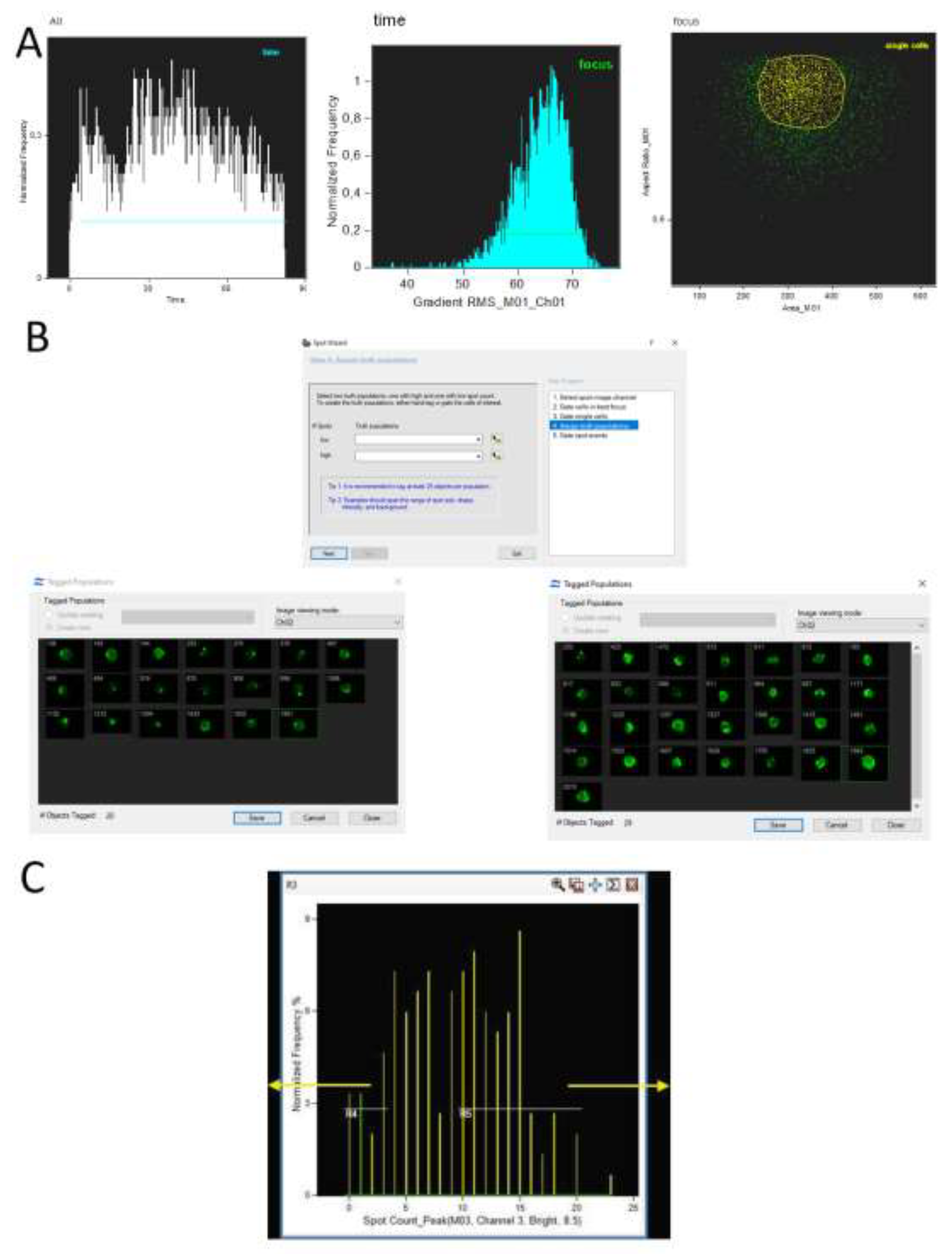 Preprints 141611 g002