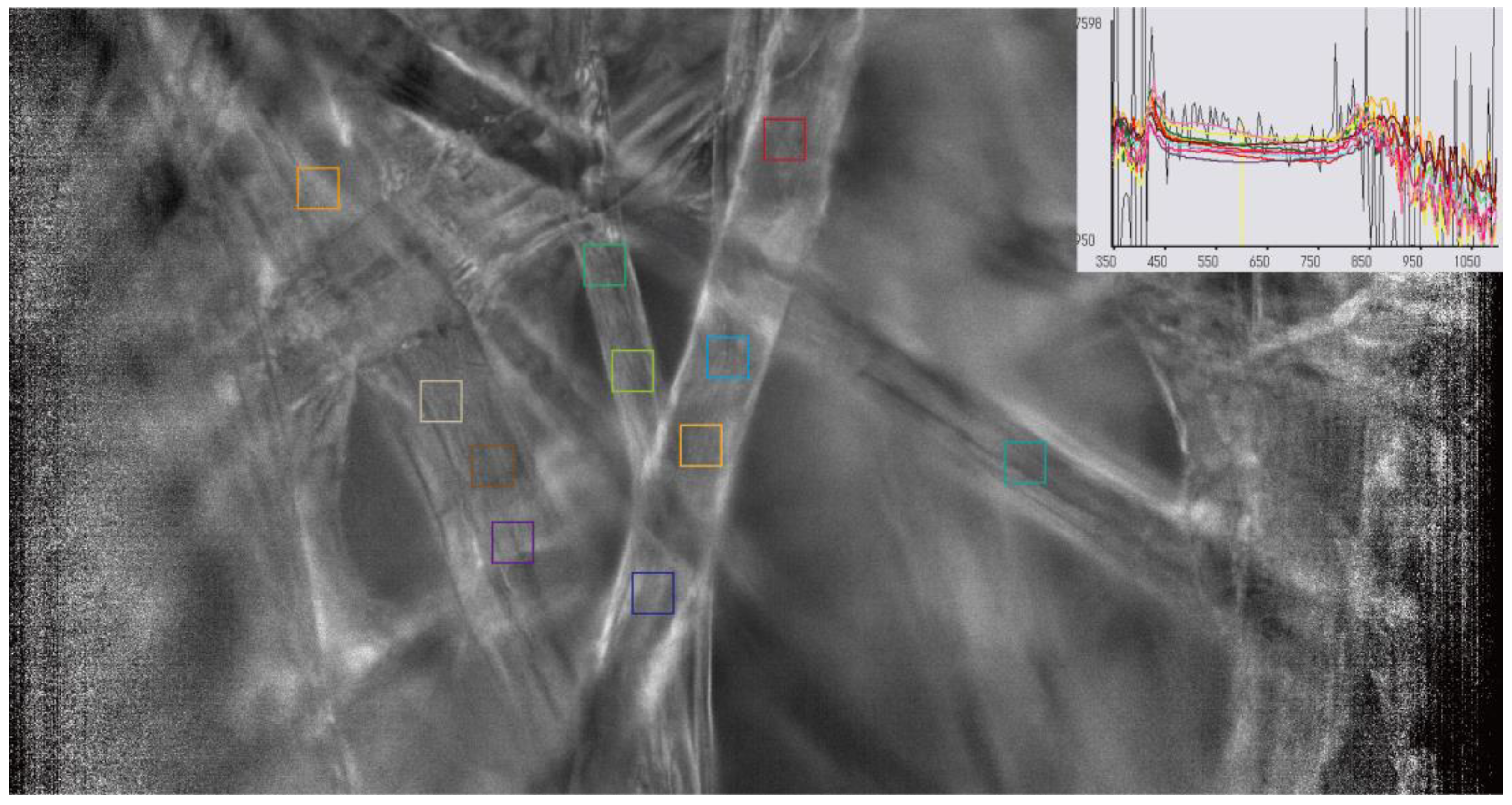 Preprints 204759 g001