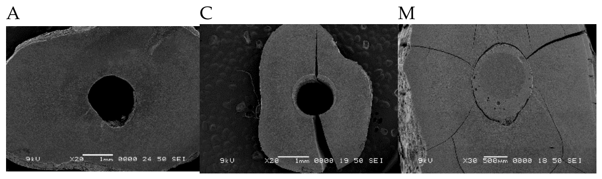 Preprints 237220 g002