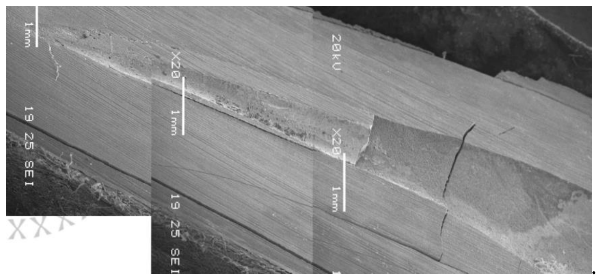 Preprints 237220 g008