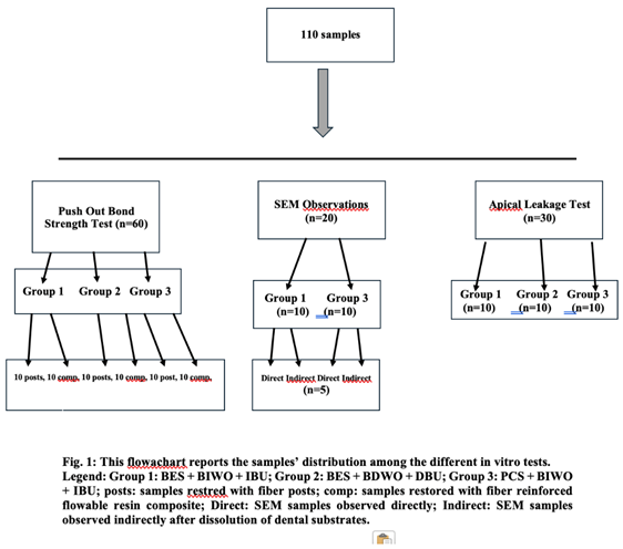 Preprints 237220 i001