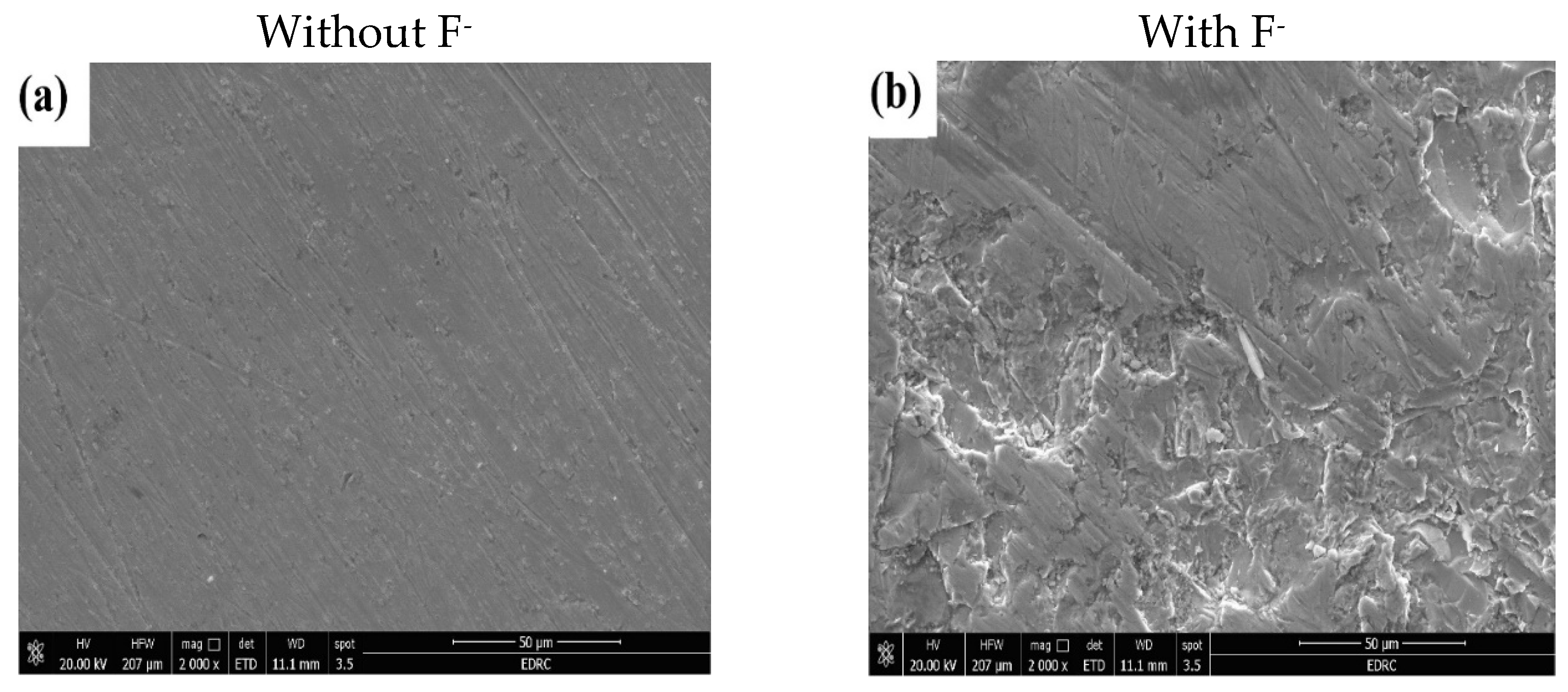 Preprints 193198 g015