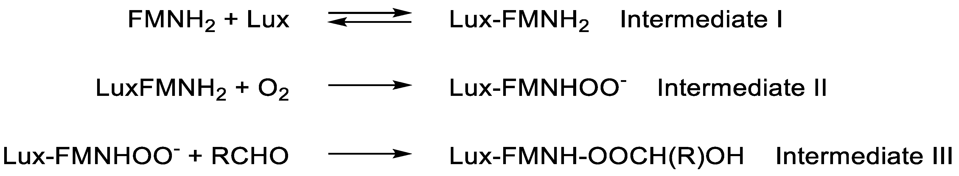 Preprints 189269 g003
