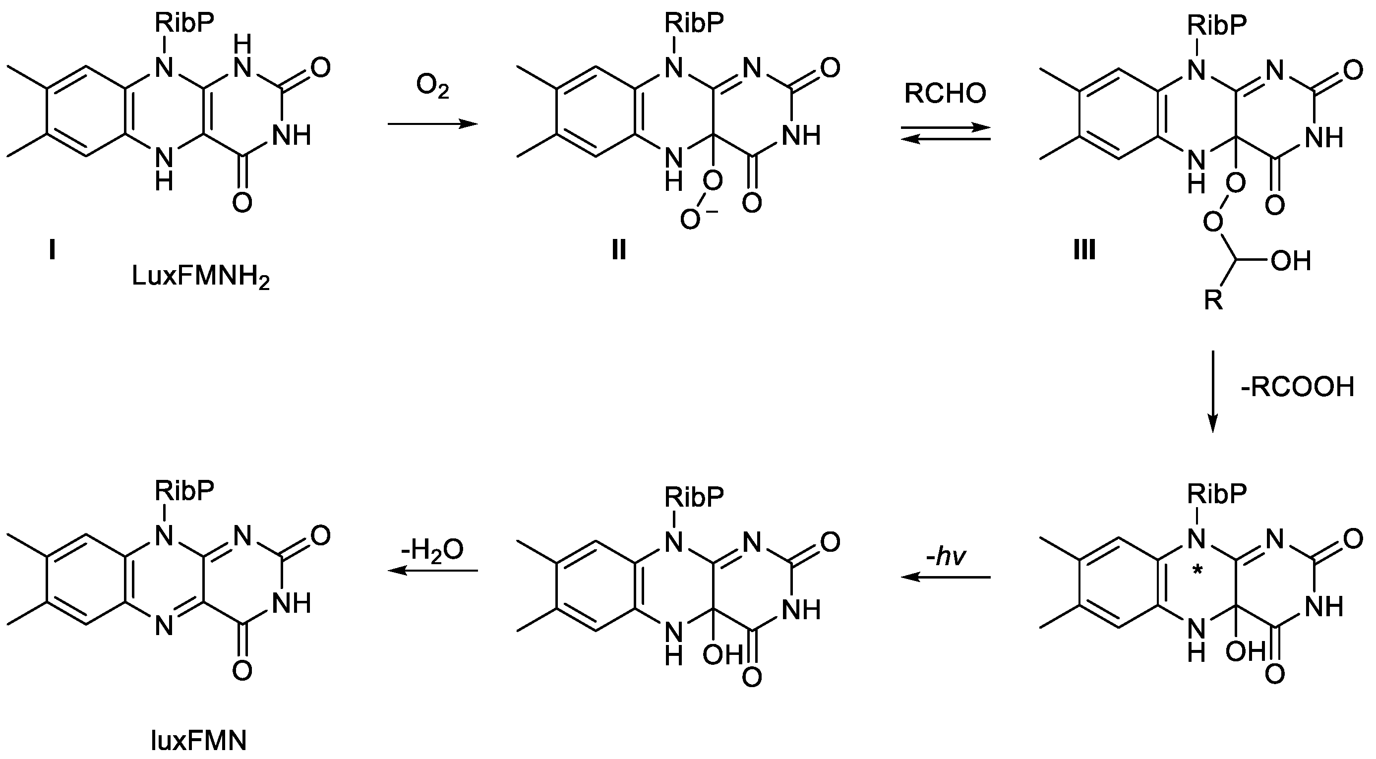 Preprints 189269 g004