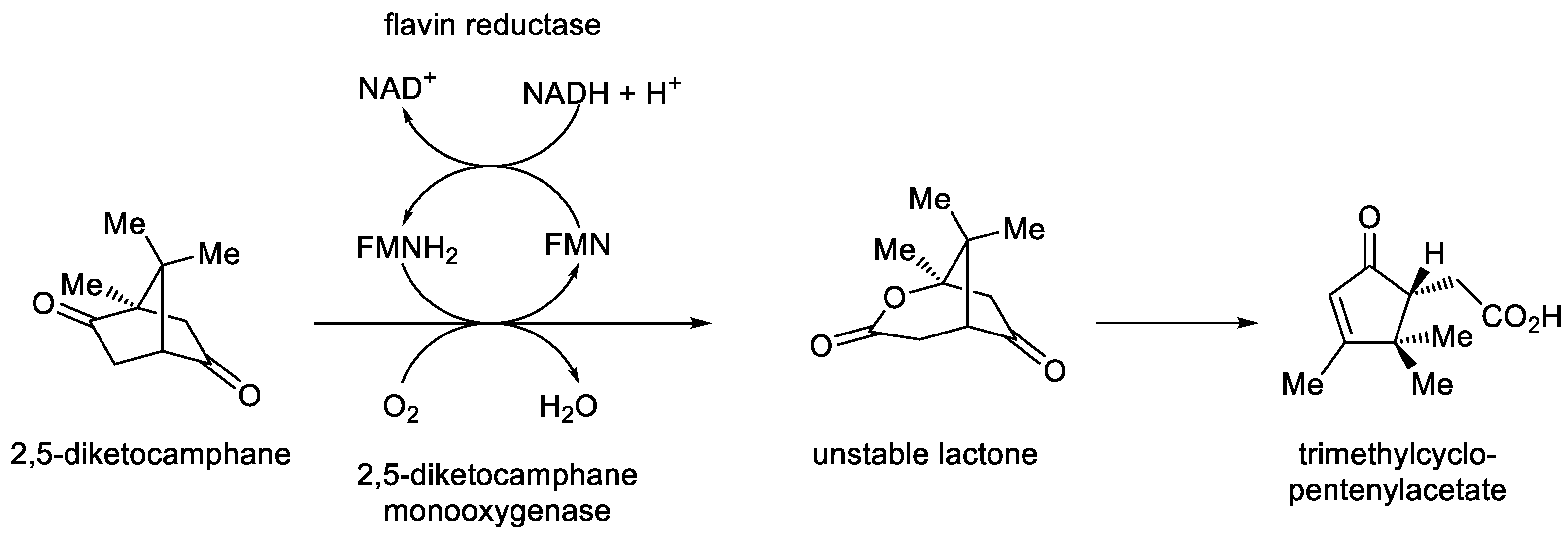 Preprints 189269 g006