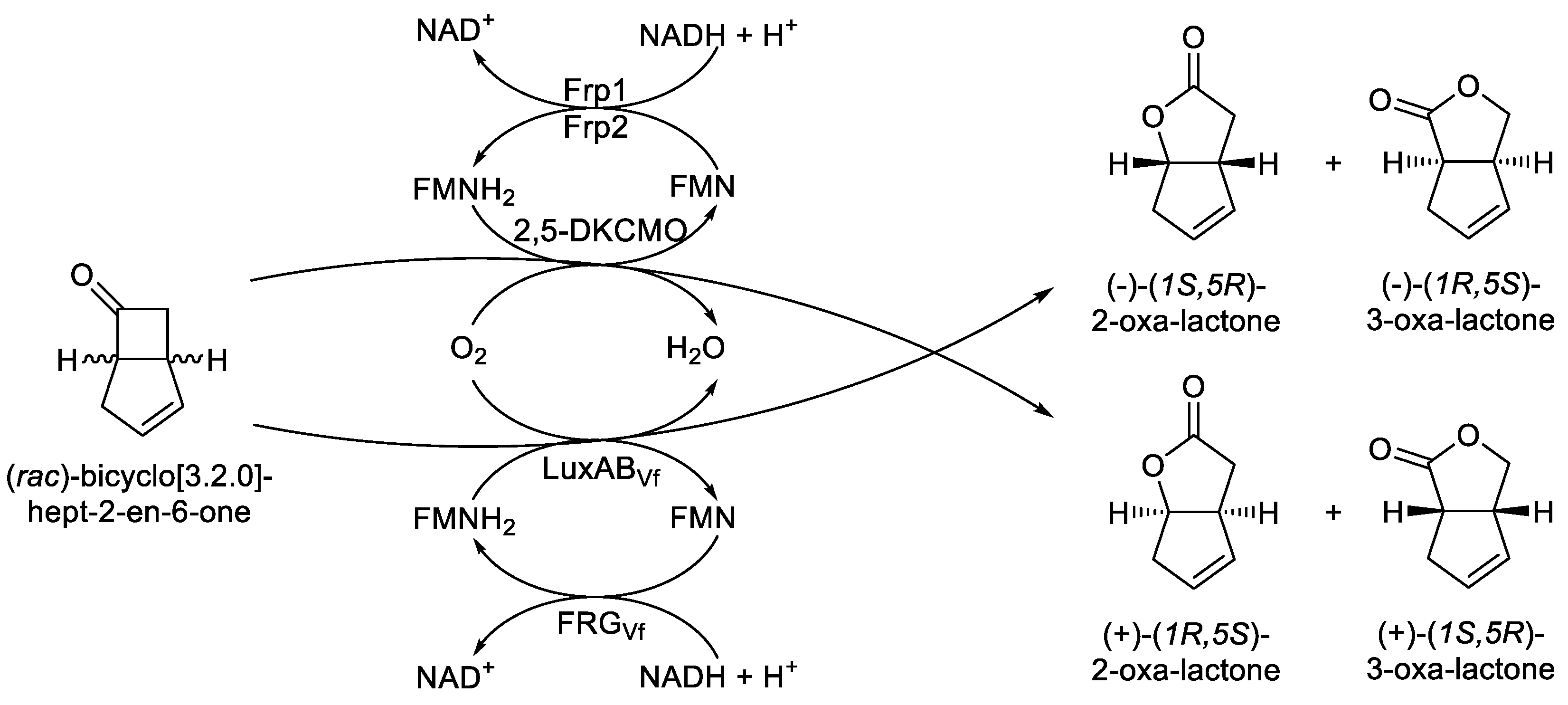 Preprints 189269 g007