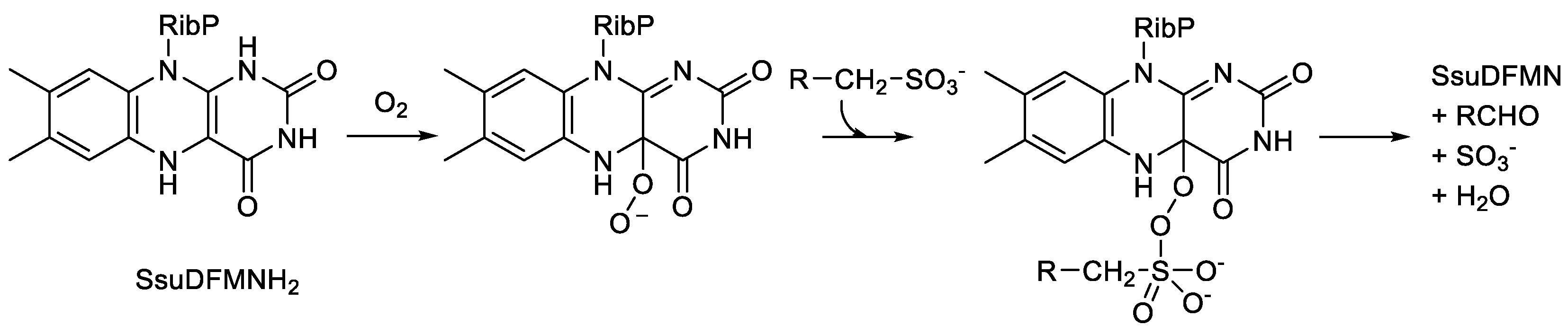 Preprints 189269 g008