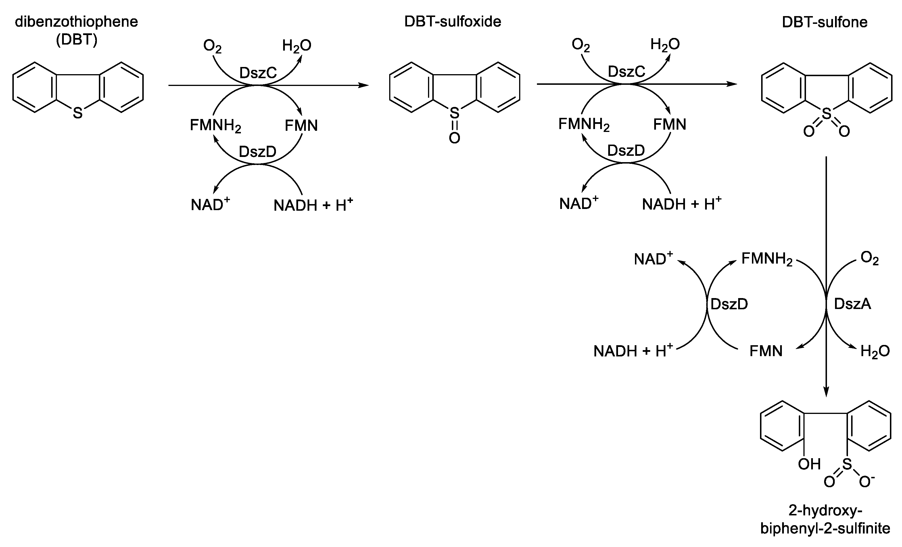 Preprints 189269 g009