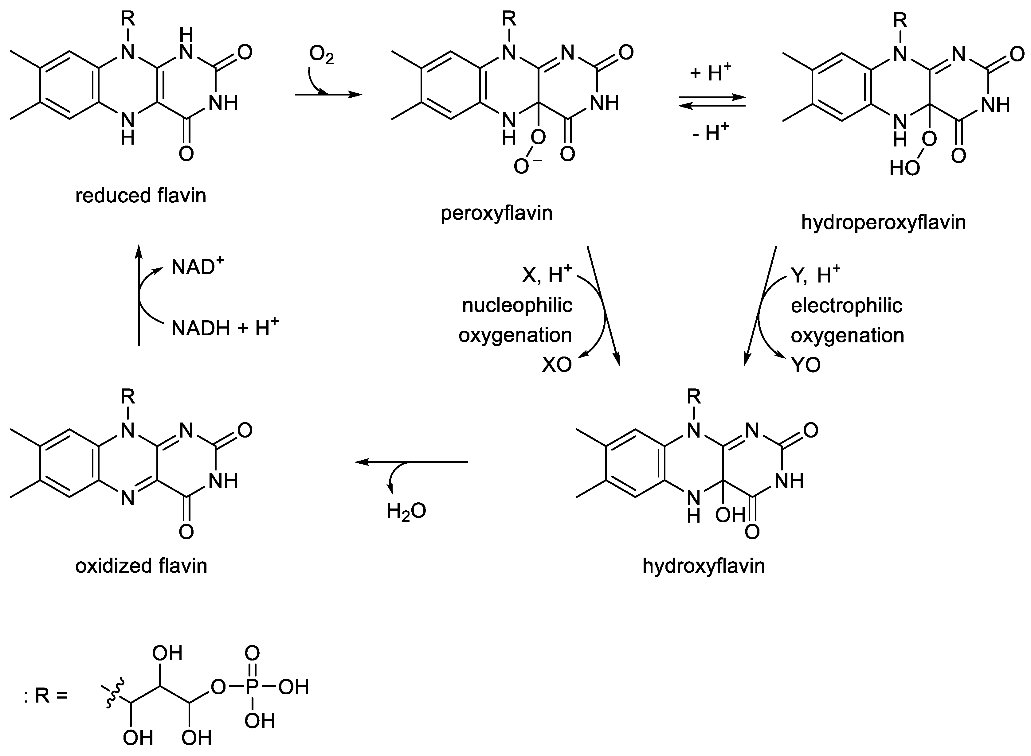 Preprints 189269 g010