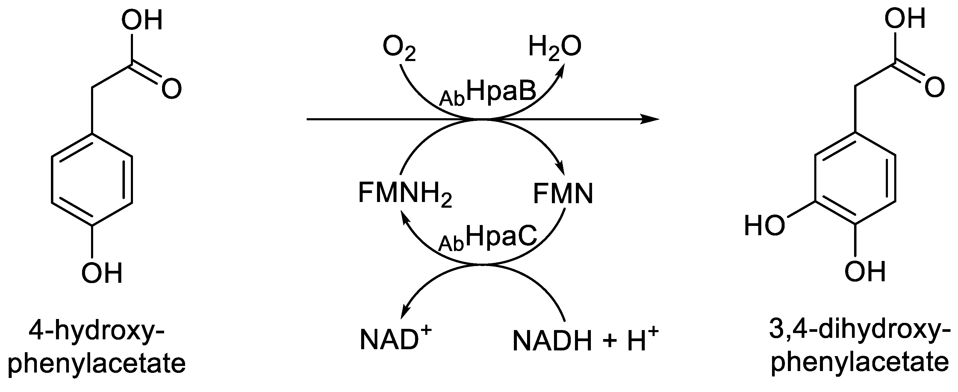 Preprints 189269 g013