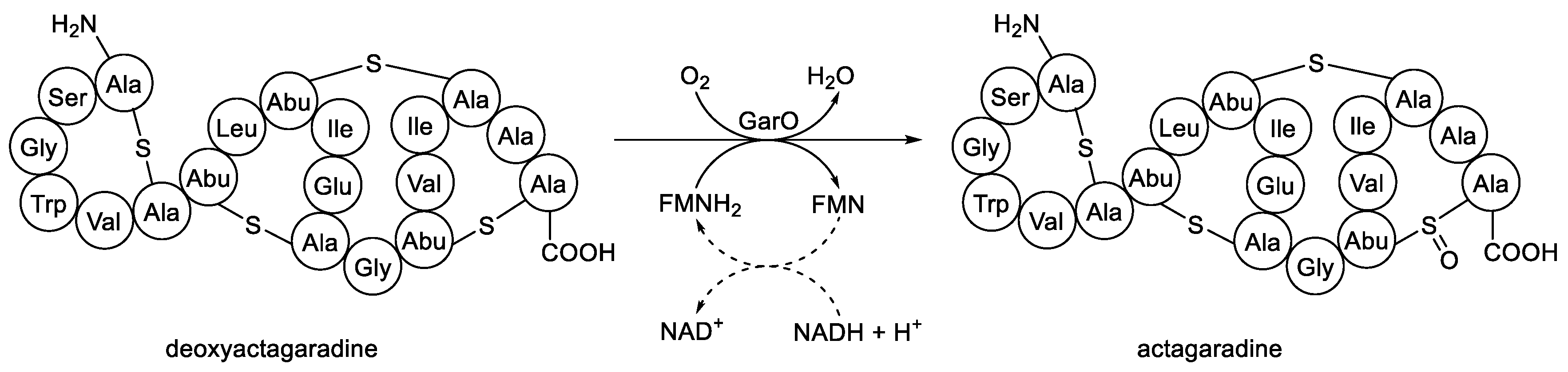 Preprints 189269 g014