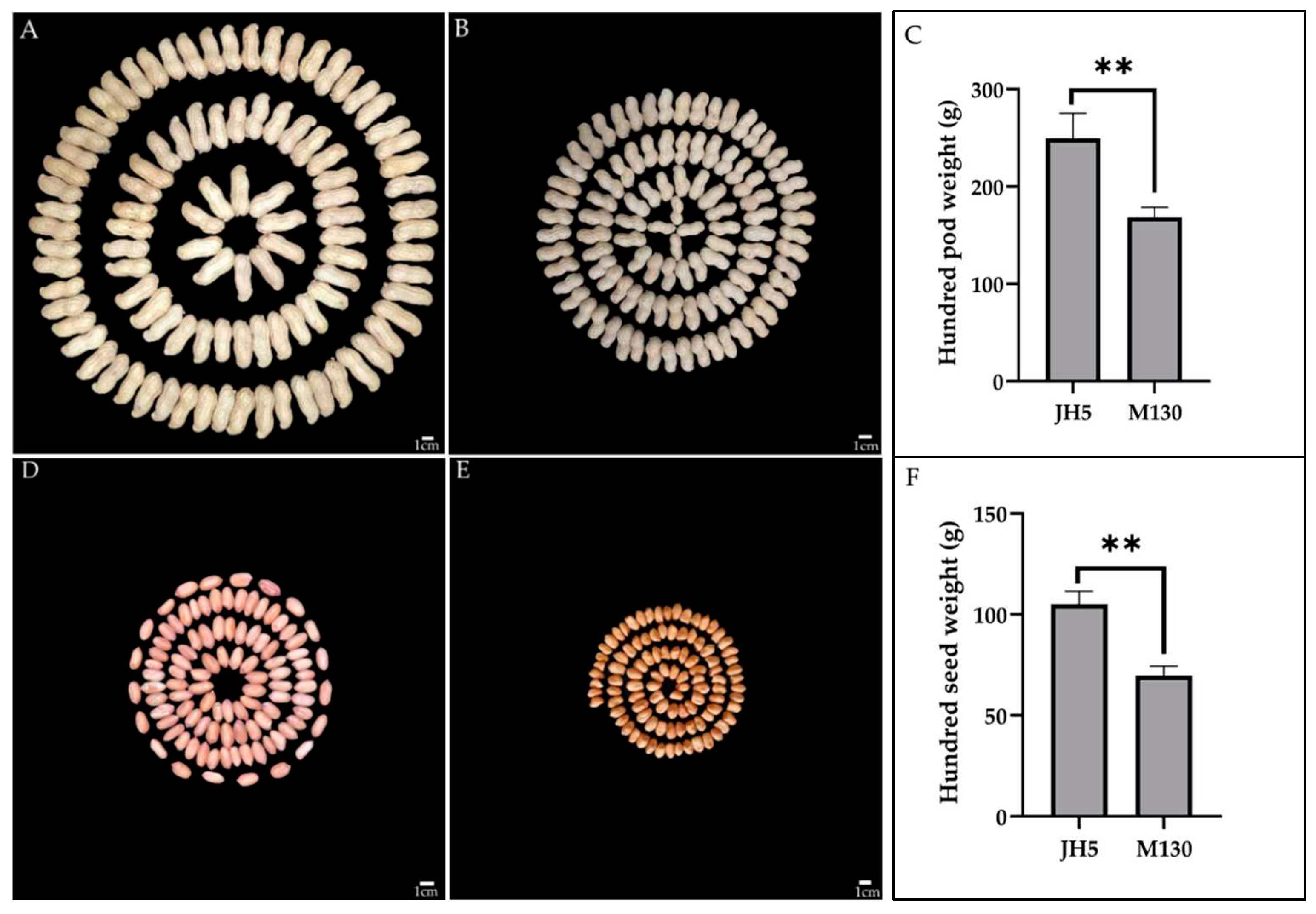 Preprints 82778 g001