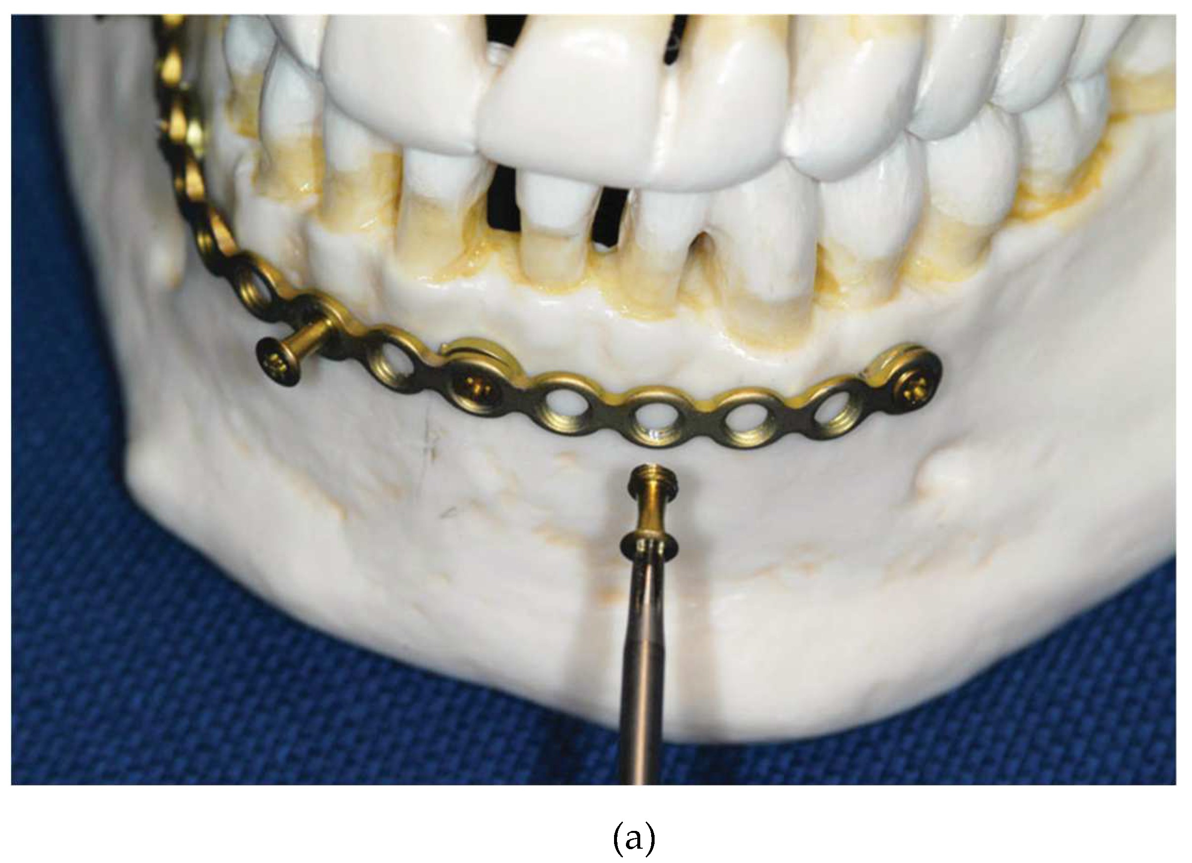 Preprints 150638 g002a