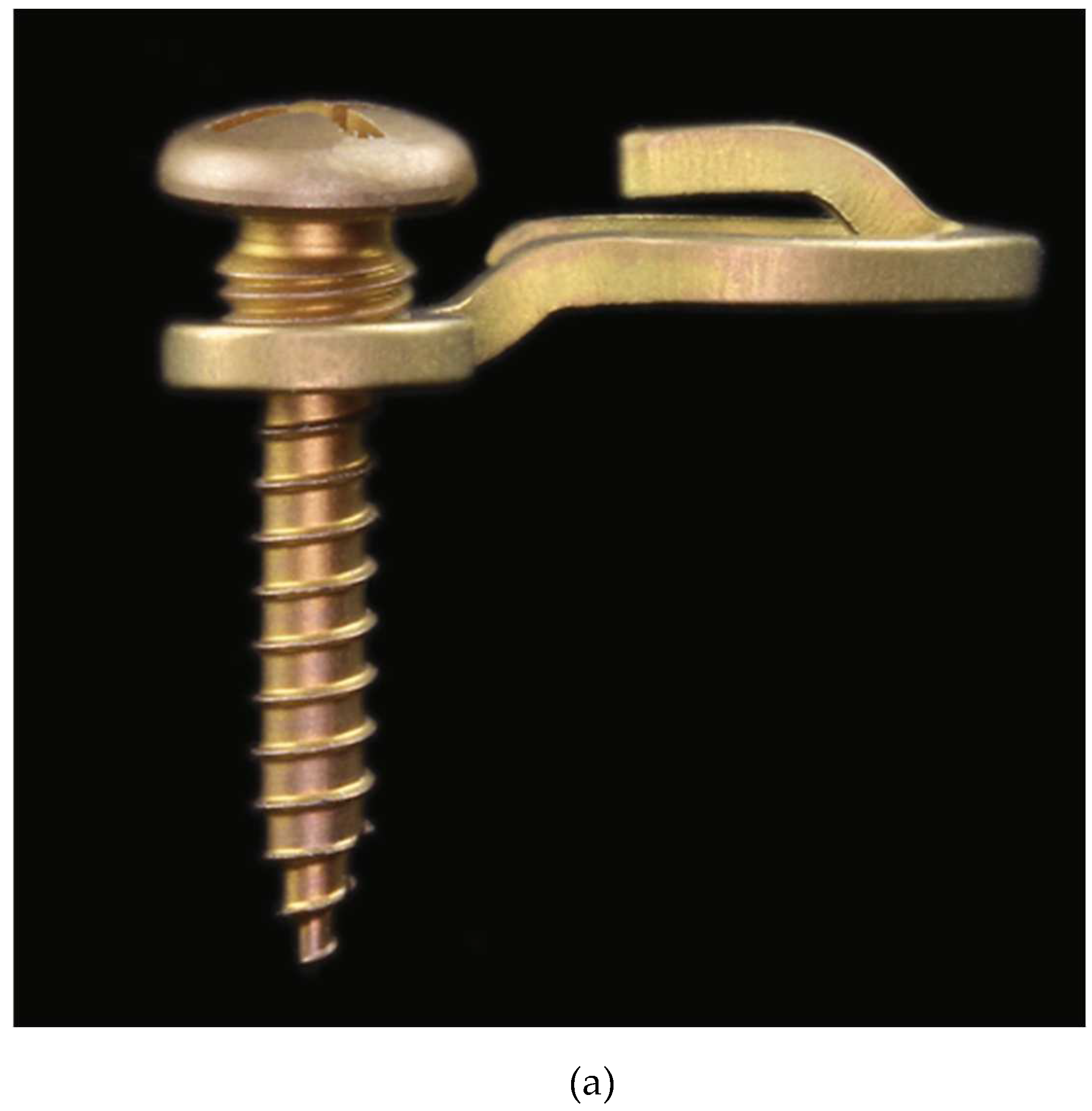 Preprints 150638 g010a