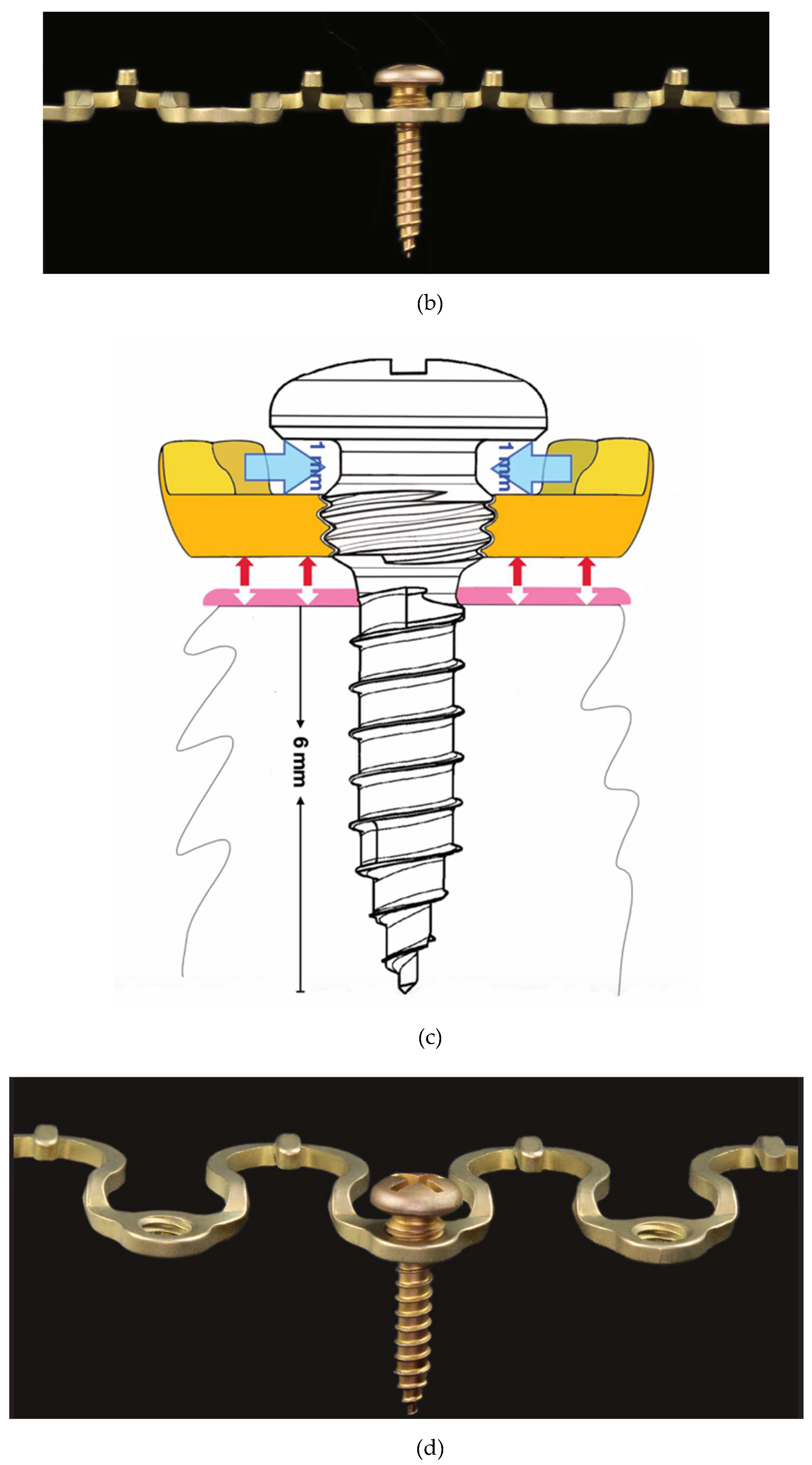 Preprints 150638 g010b