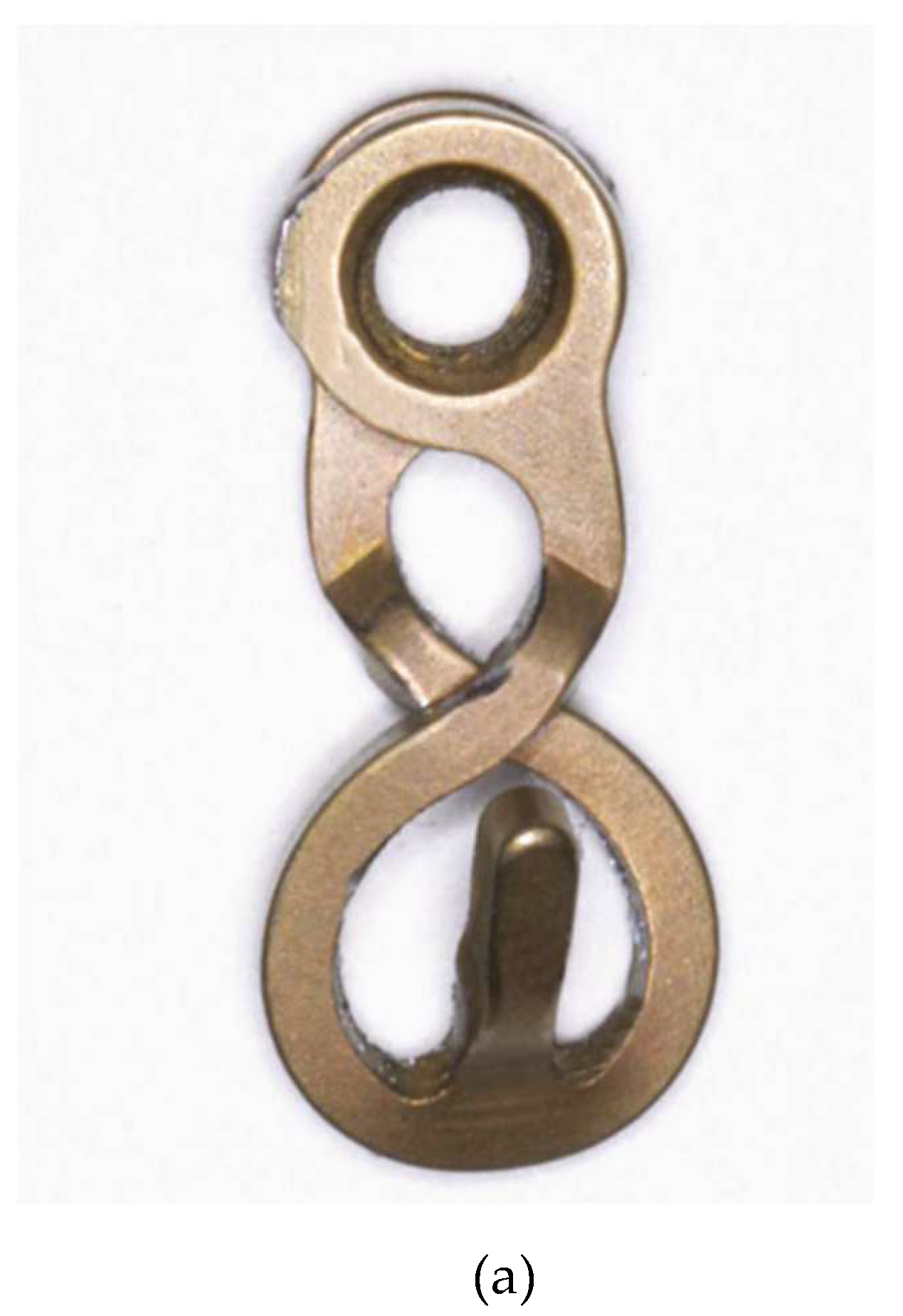 Preprints 150638 g013a