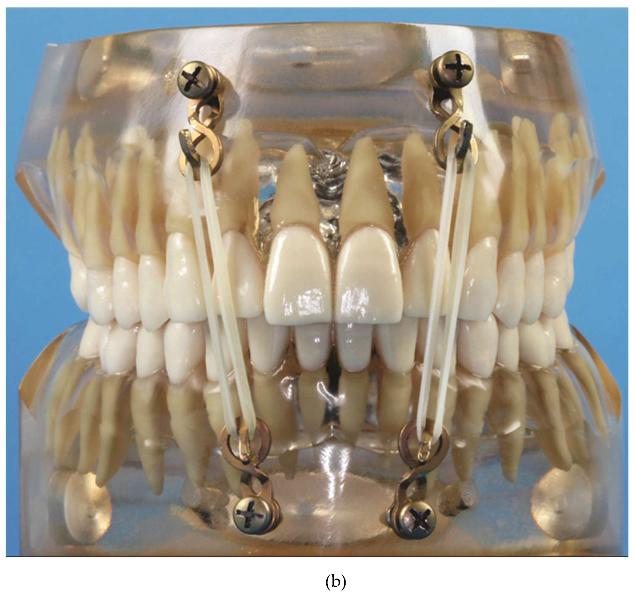 Preprints 150638 g013b