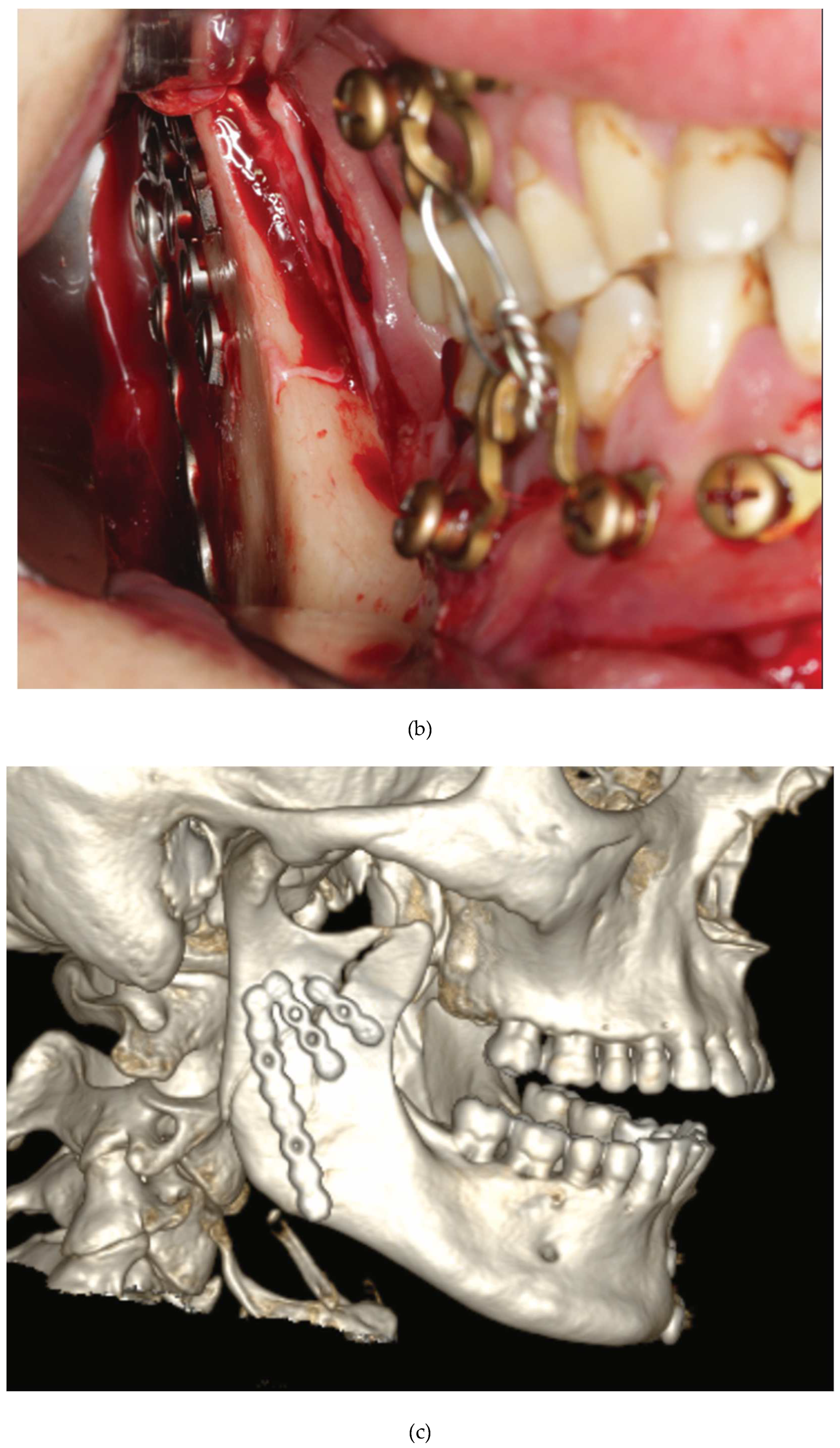 Preprints 150638 g016b