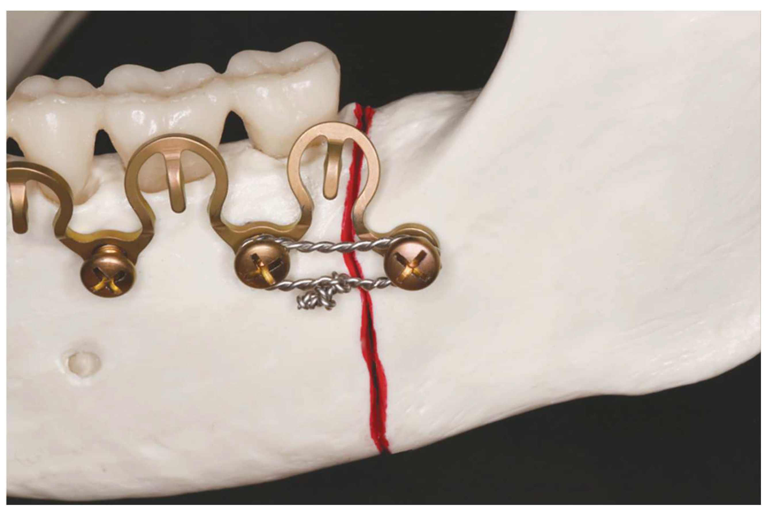 Preprints 150638 g020