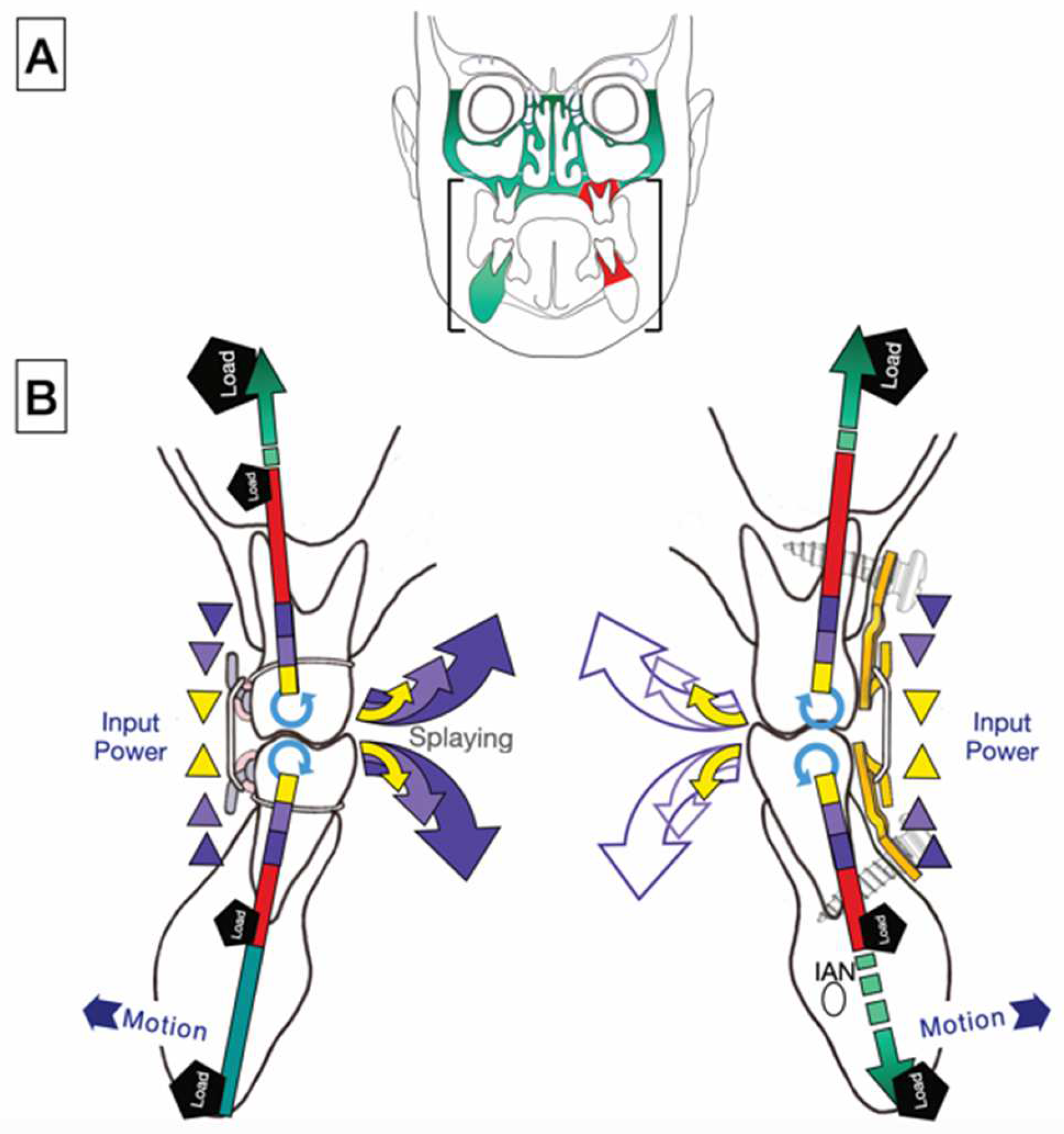 Preprints 150638 g021