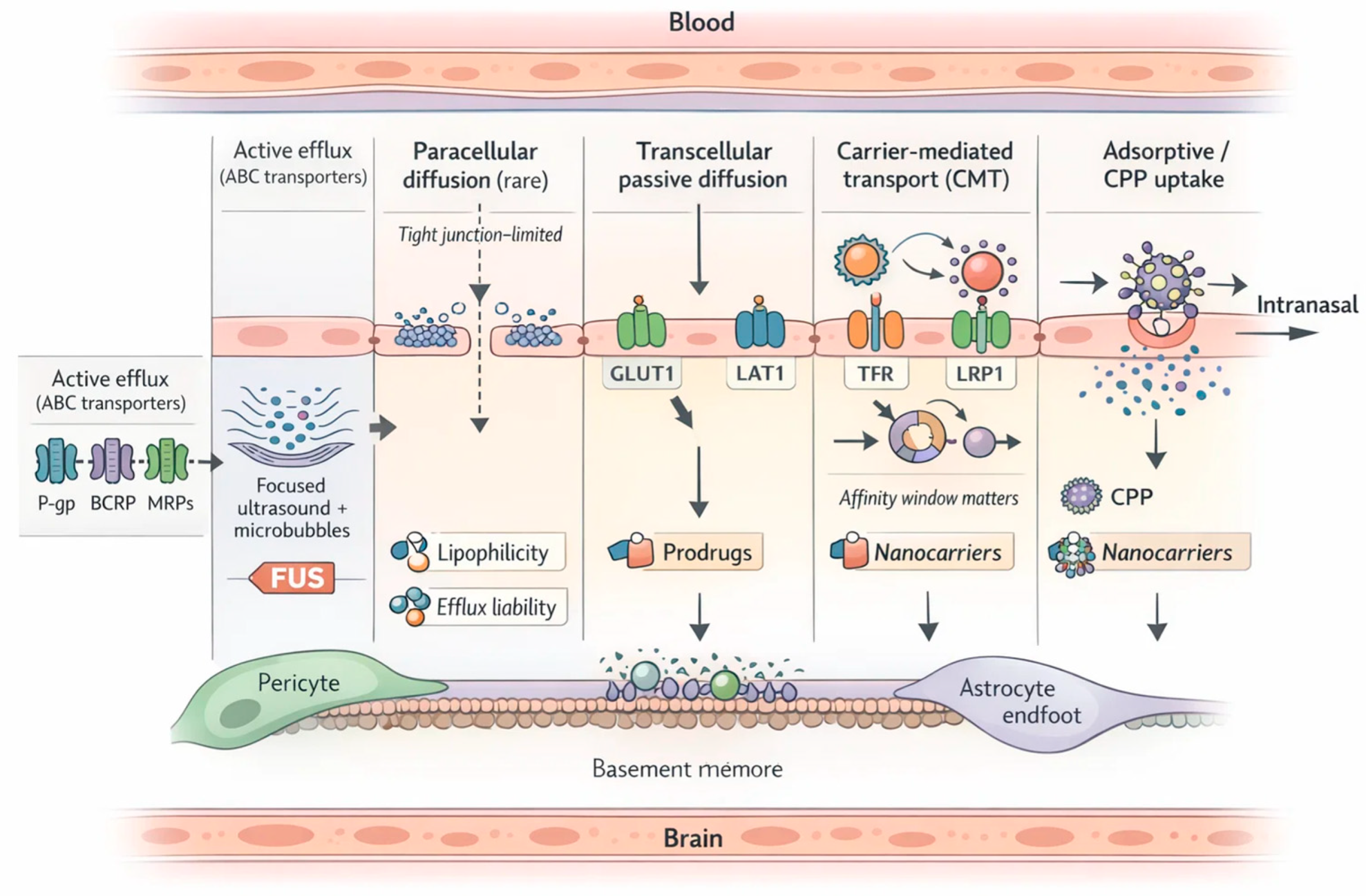 Preprints 200522 g001