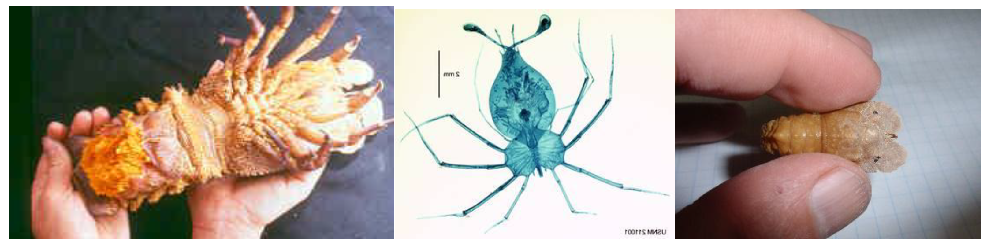 Preprints 173498 g003