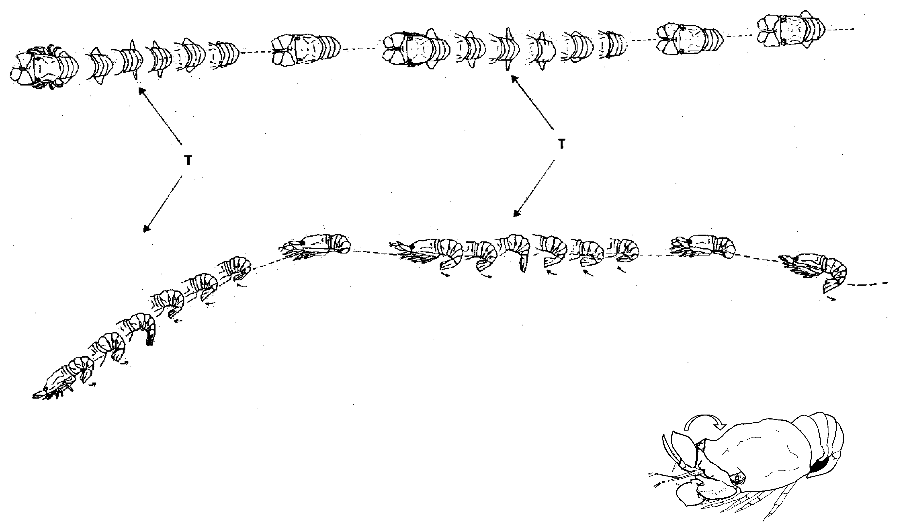 Preprints 173498 g004