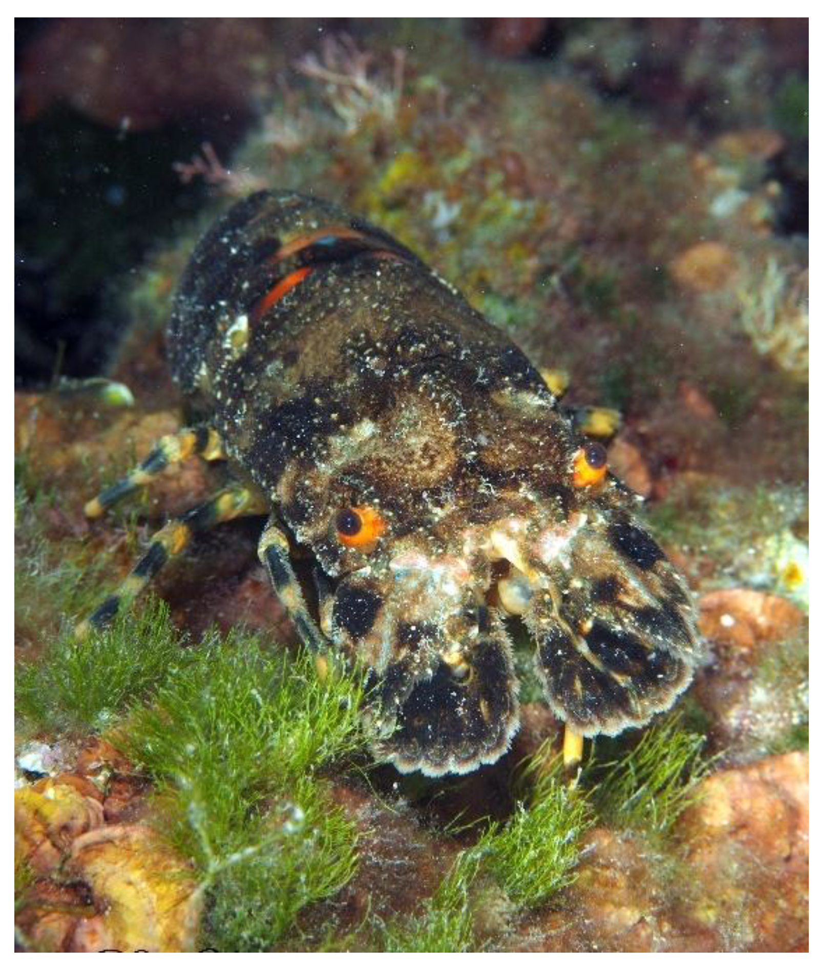 Preprints 173498 g005