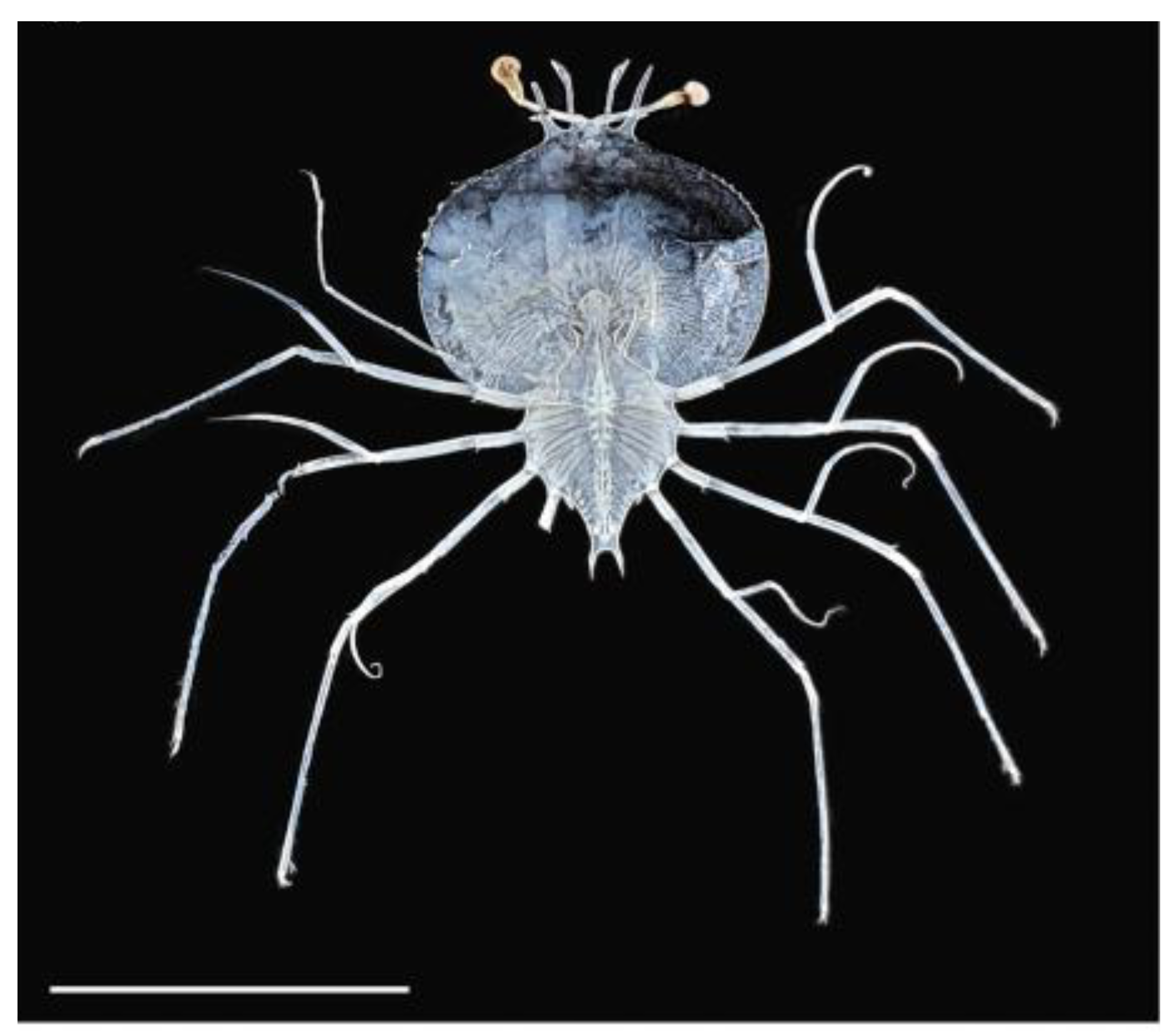 Preprints 173498 g007