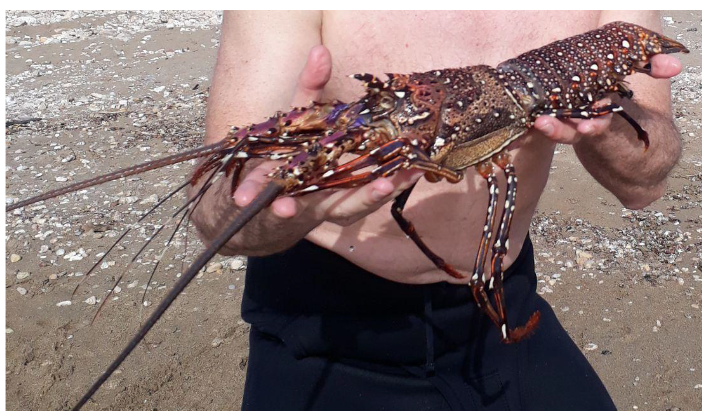 Preprints 173498 g009