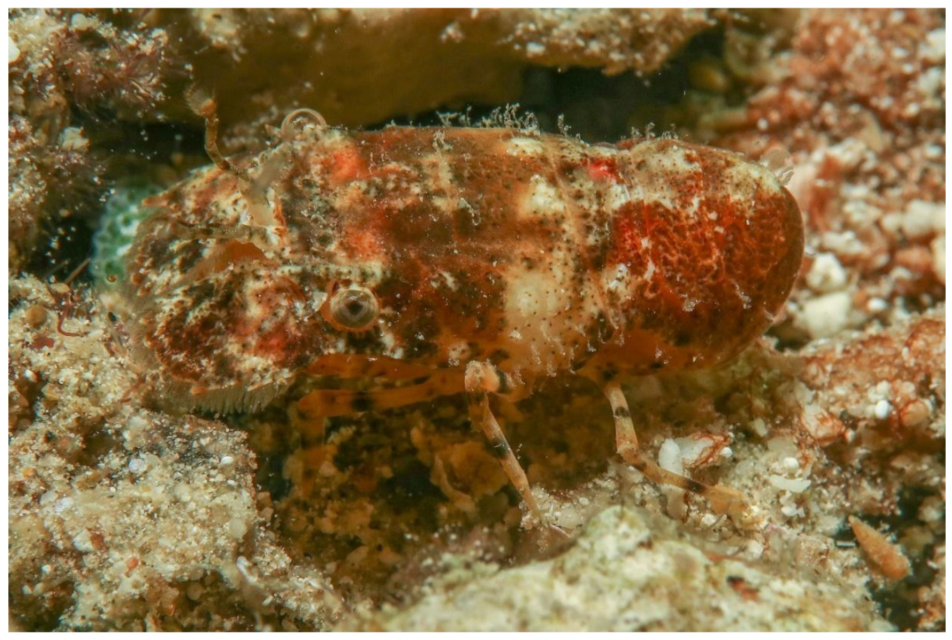 Preprints 173498 g013