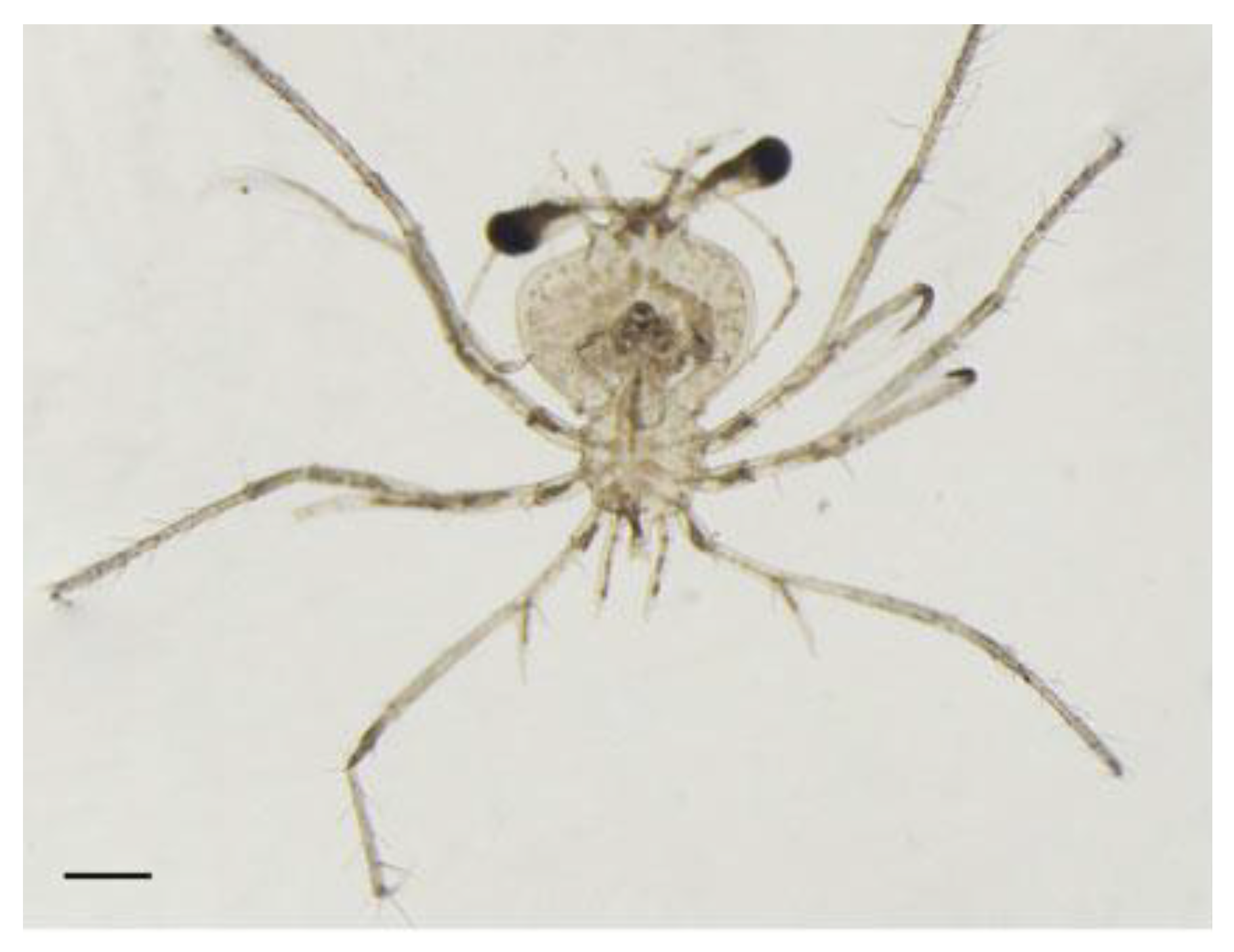 Preprints 173498 g014