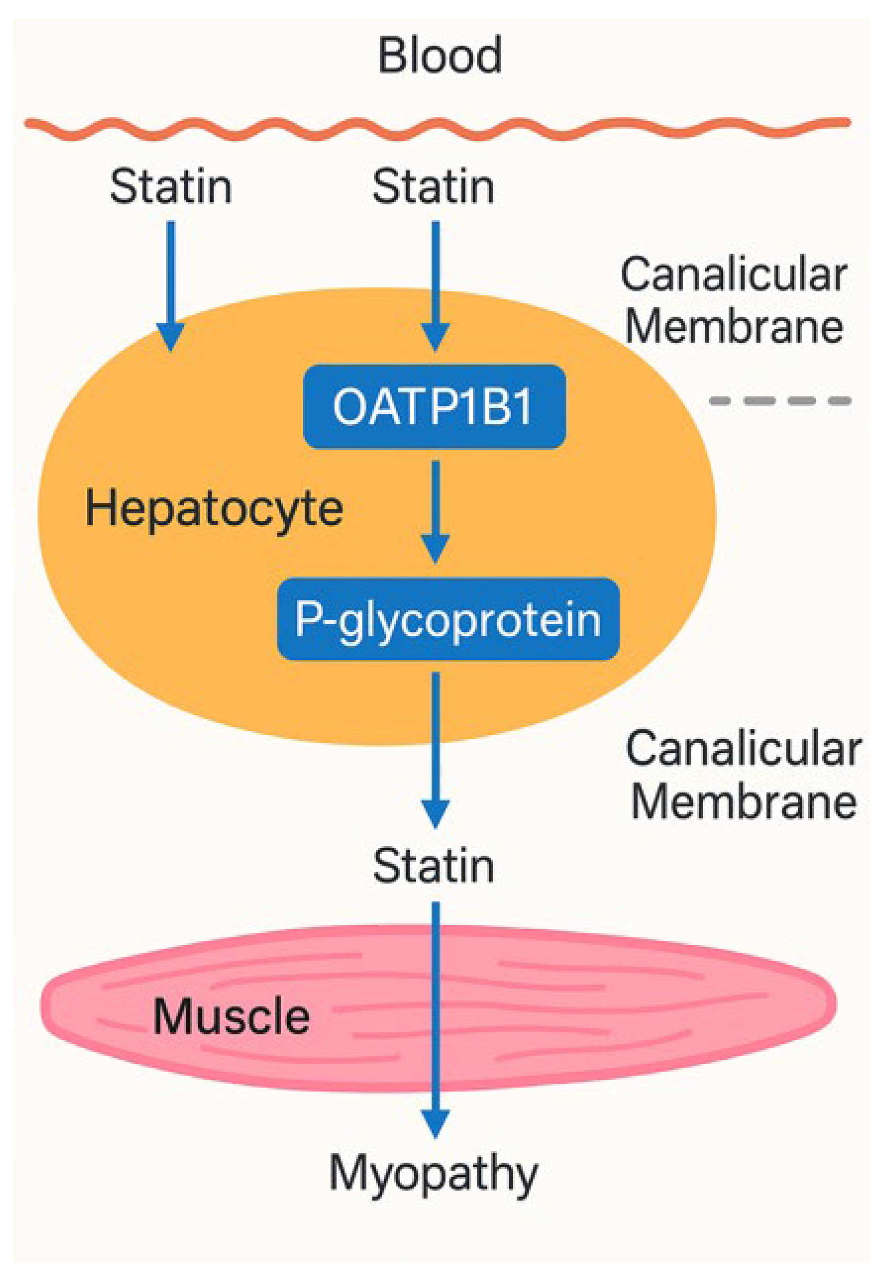 Preprints 193901 g001