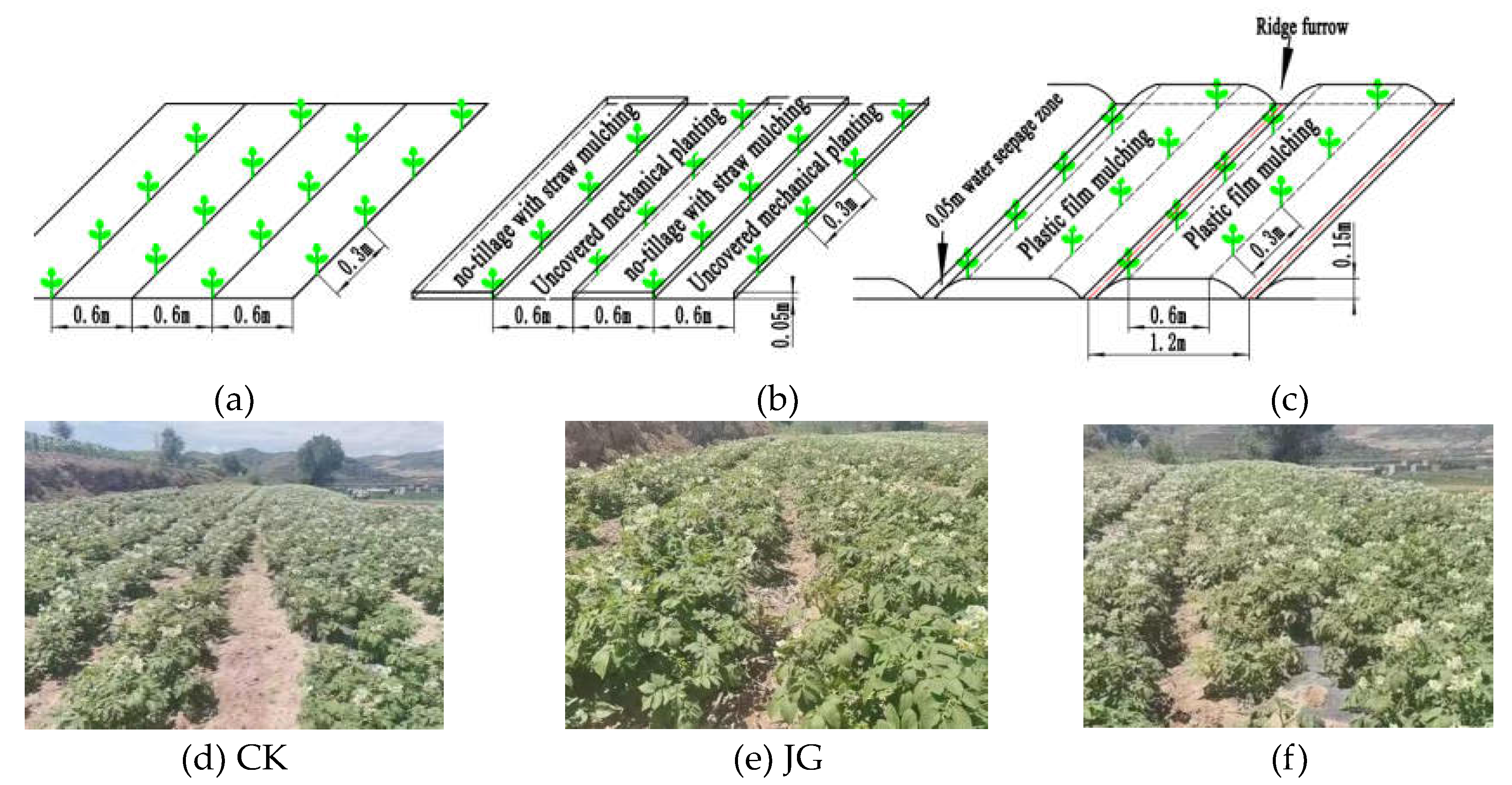 Preprints 111414 g002