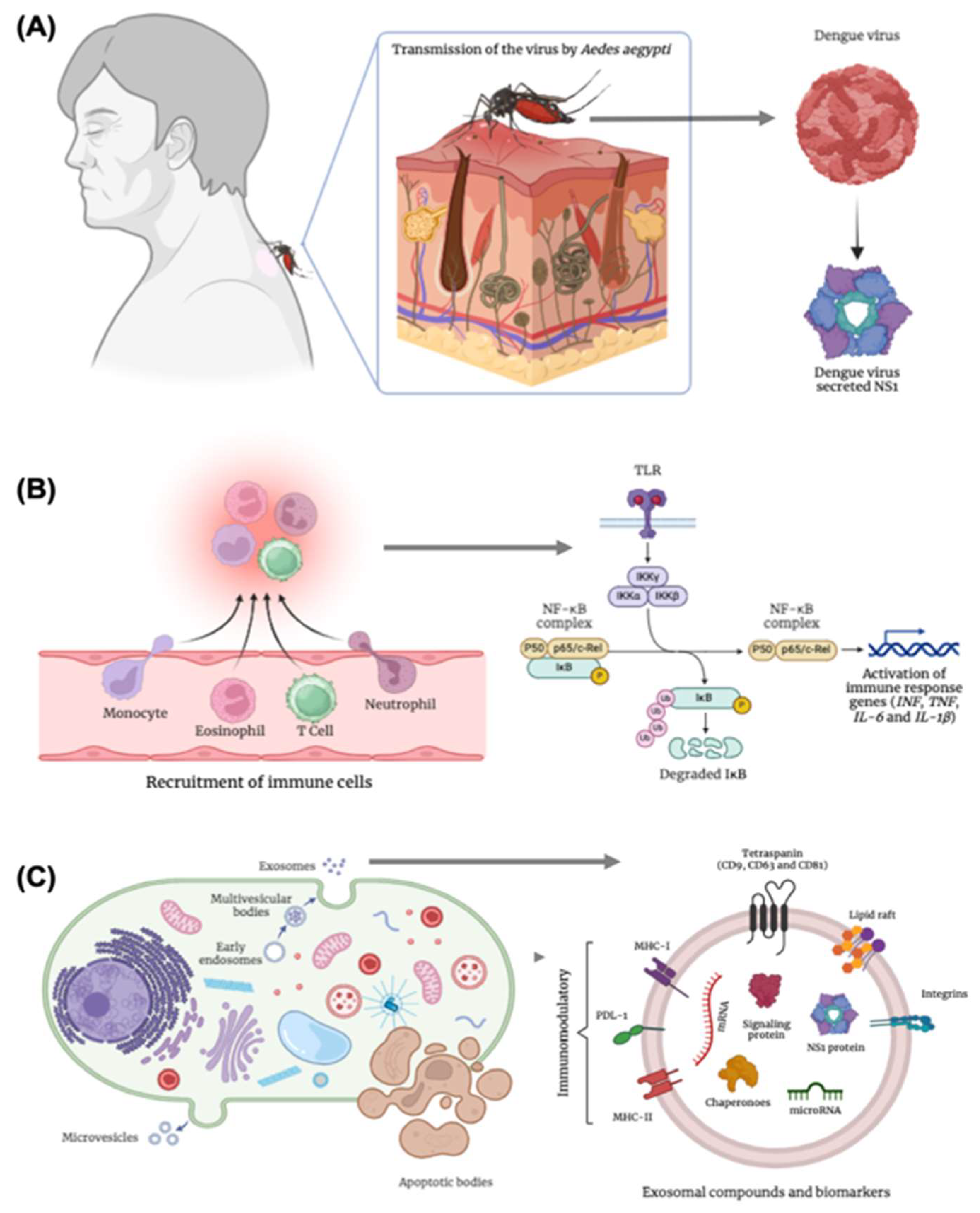 Preprints 157549 g002