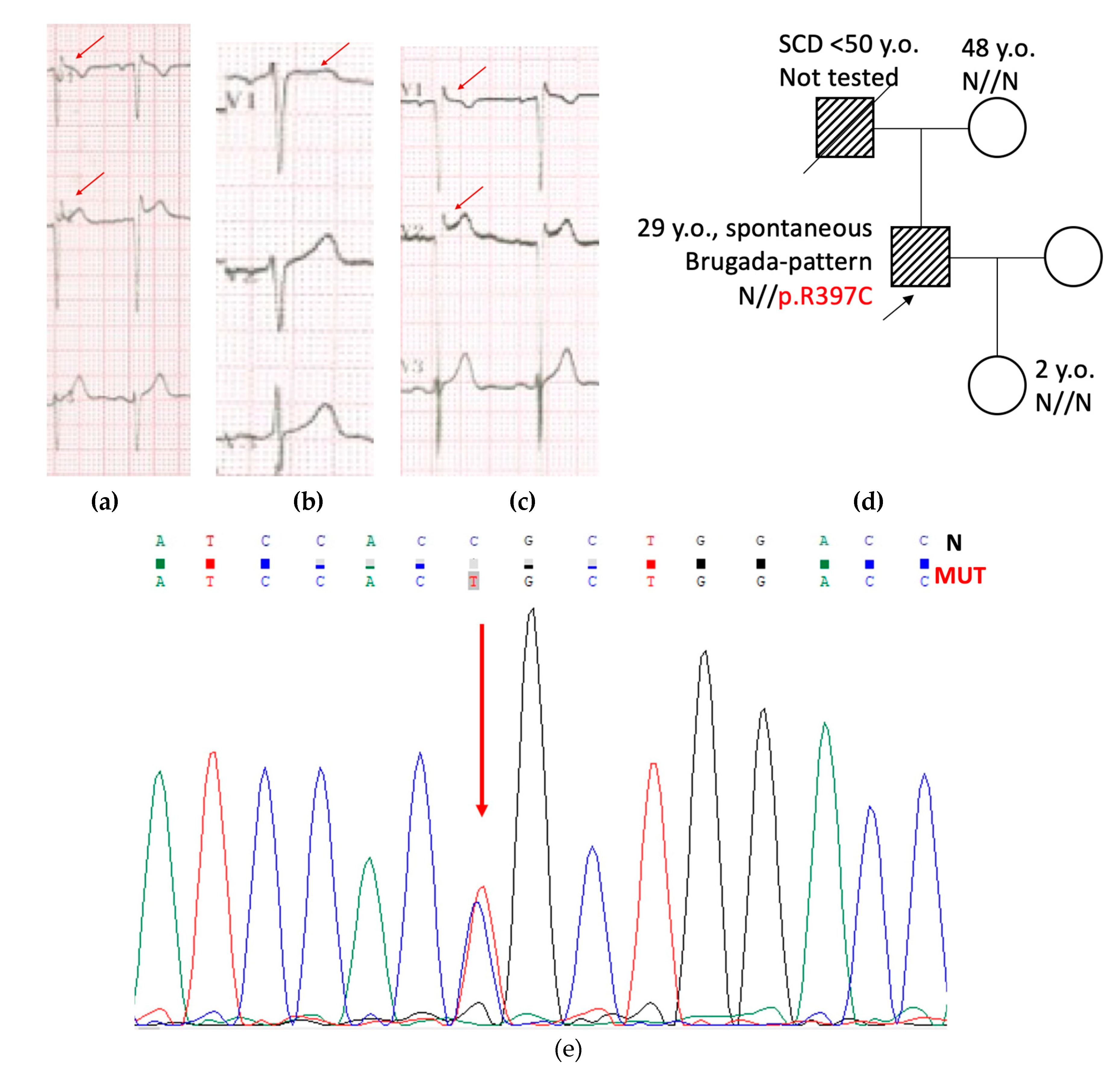 Preprints 85191 g001