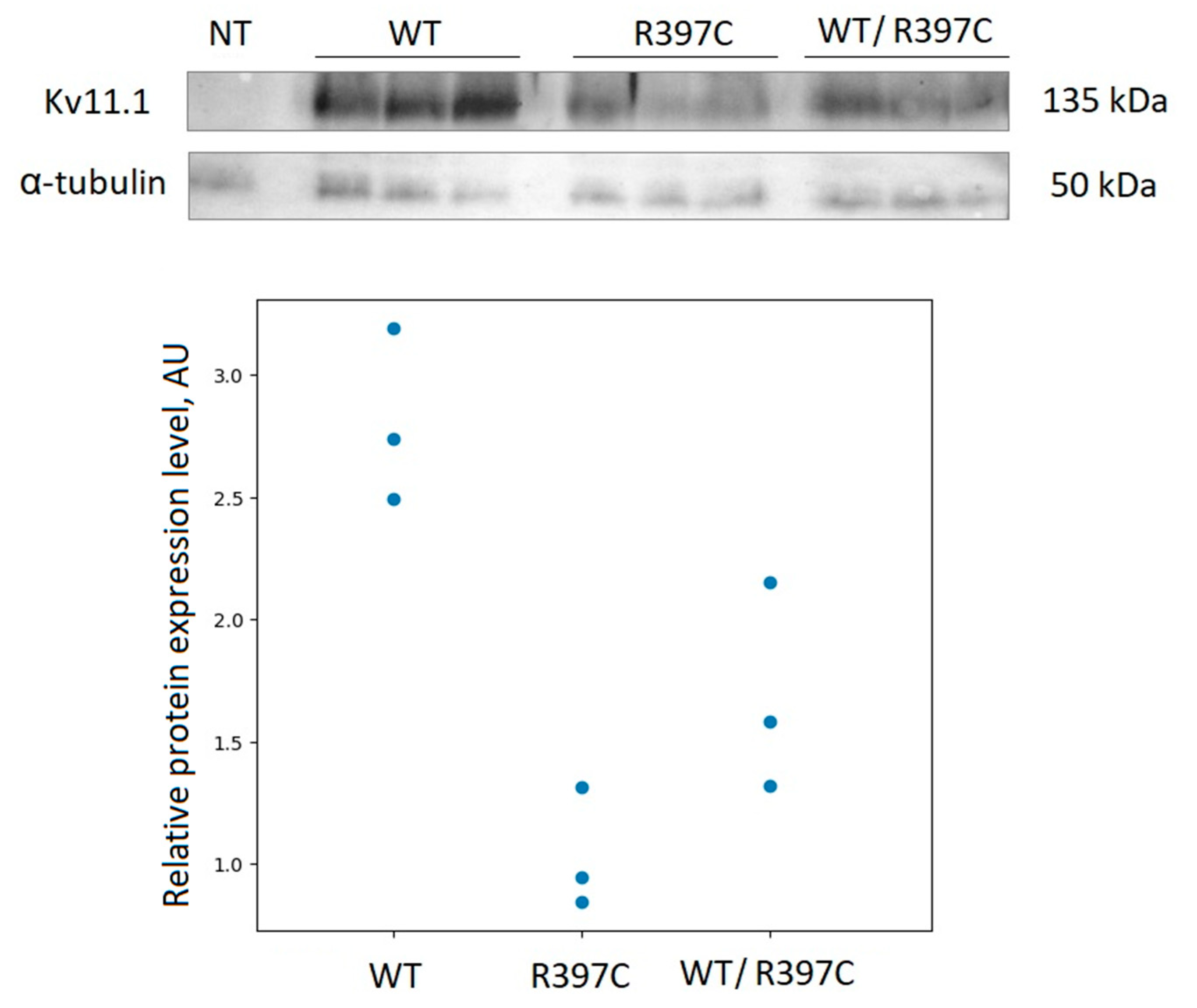 Preprints 85191 g002