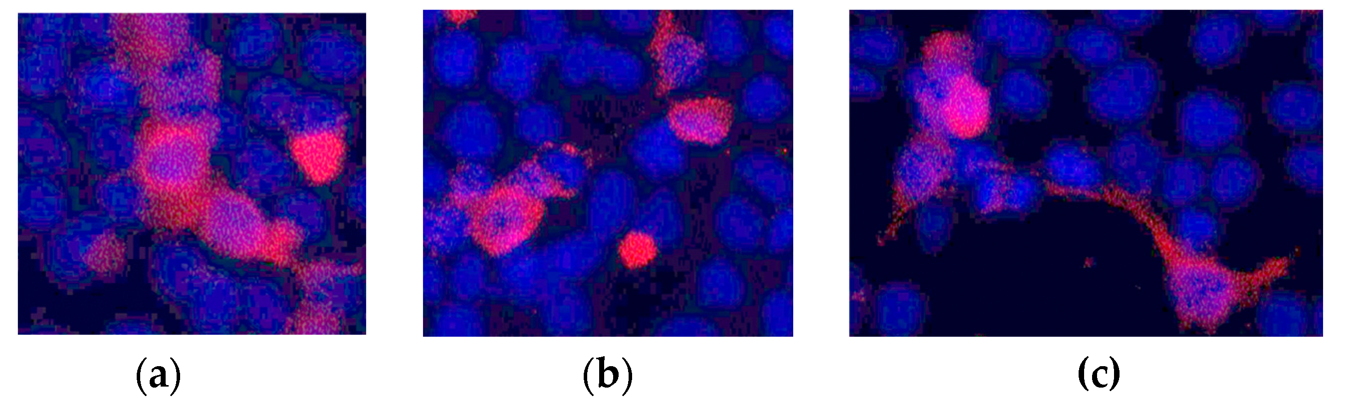 Preprints 85191 g003
