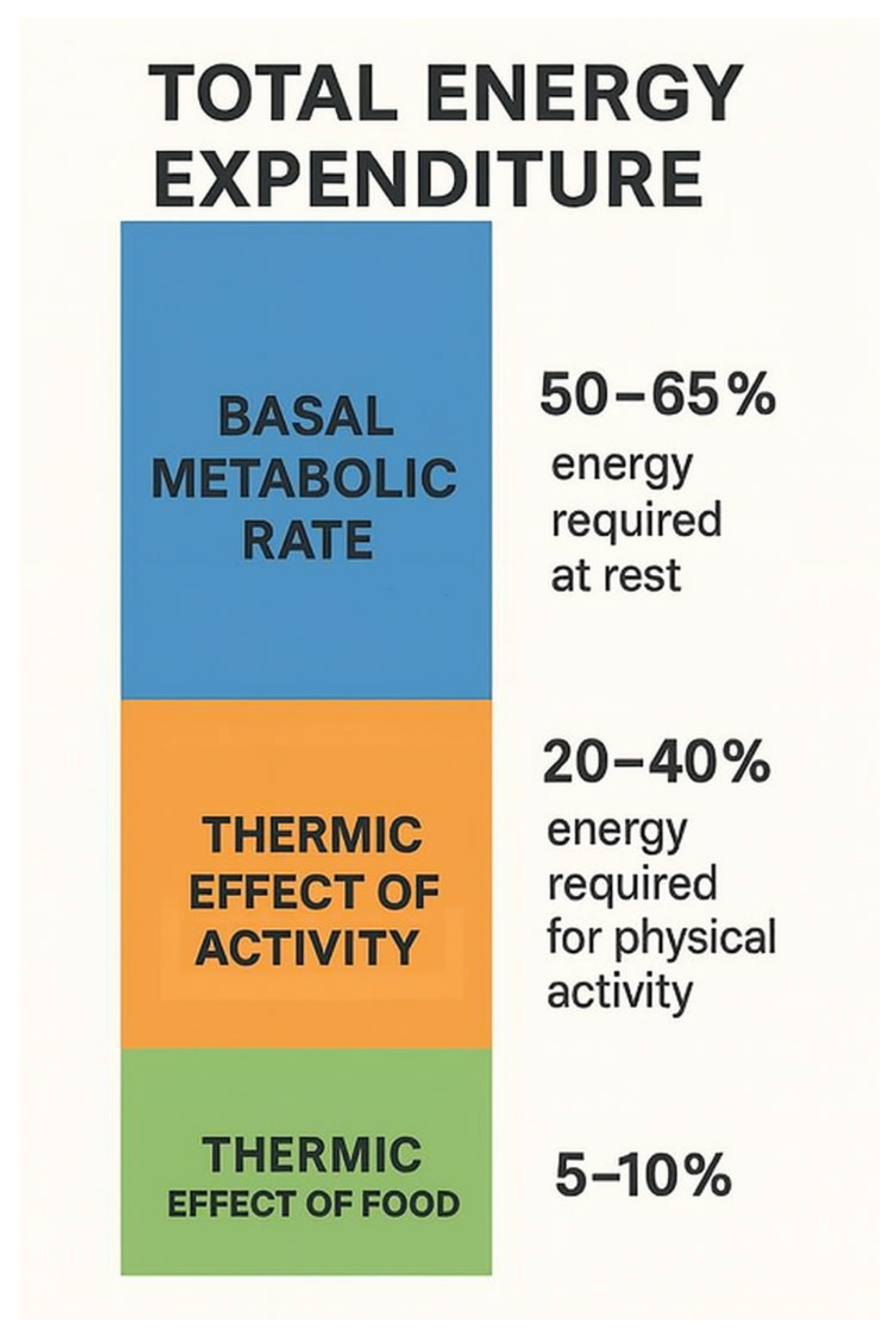 Preprints 171750 g001