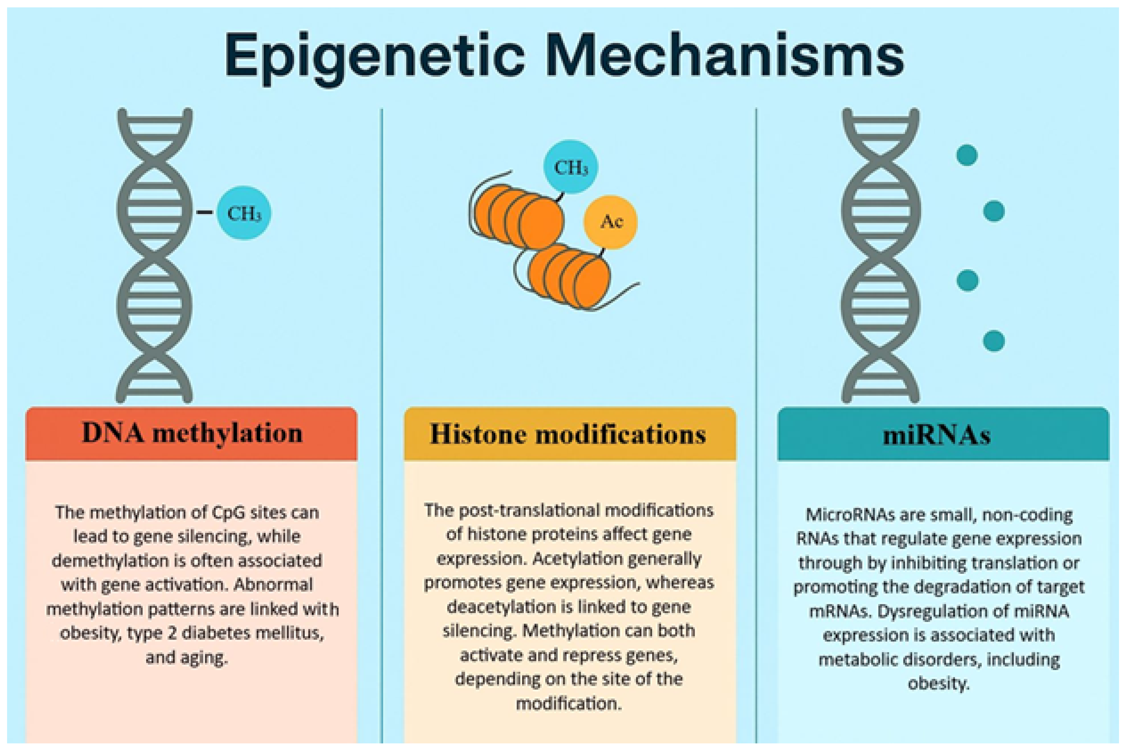Preprints 171750 g002